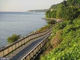 7931 Delores CT photo 50