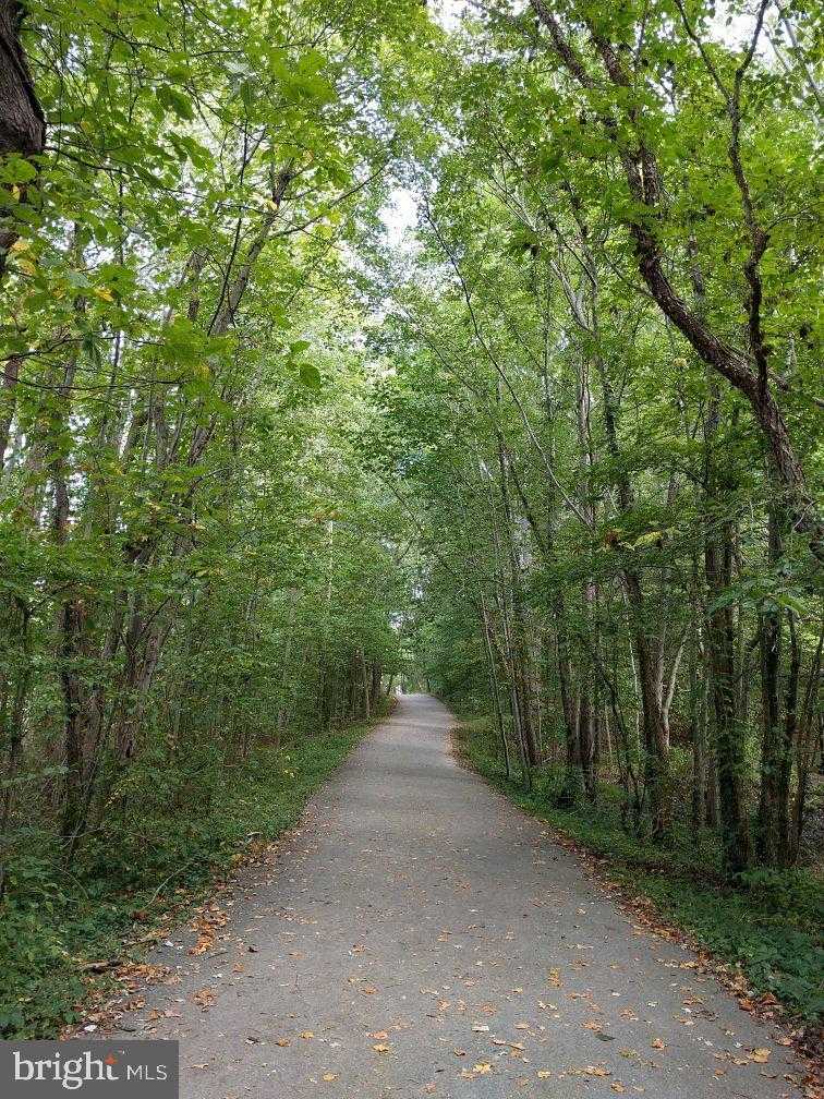 7931 Delores CT photo 51