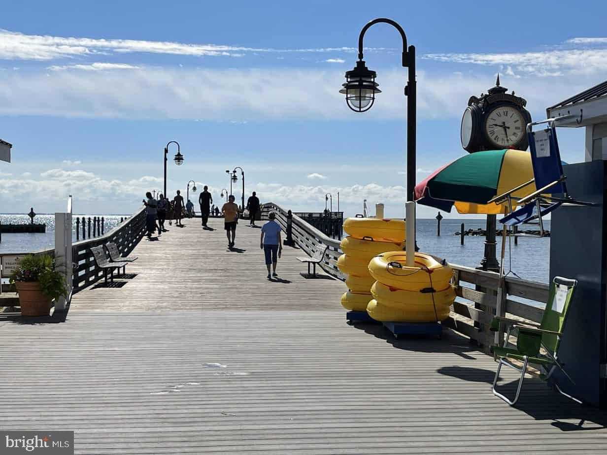 7931 Delores CT photo 55