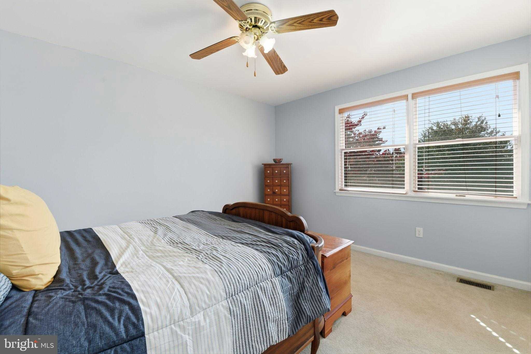 43 Ashfield Dr photo 31