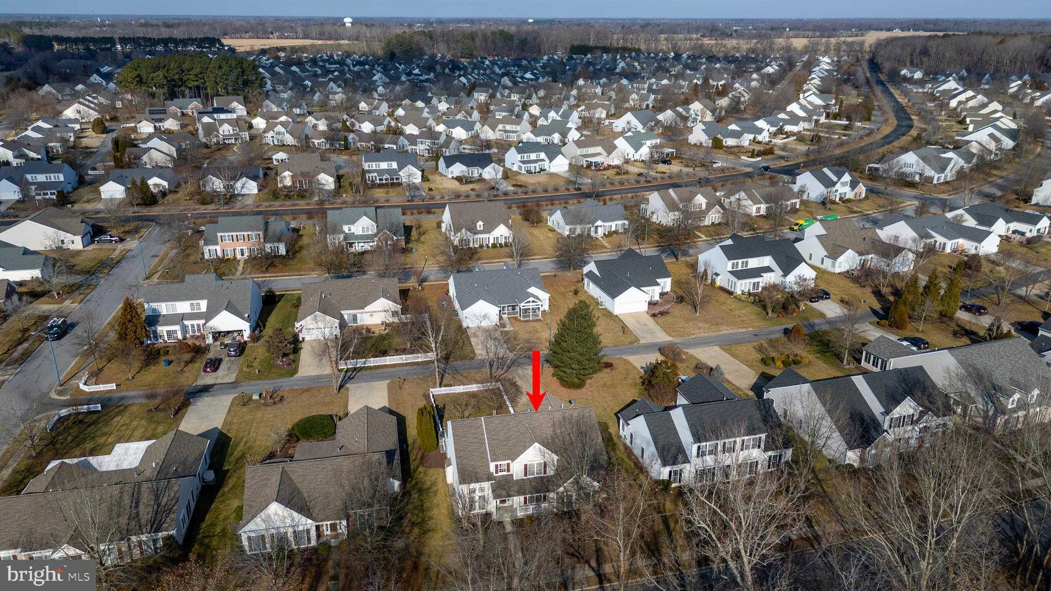 29754 Hillary Ave photo 3