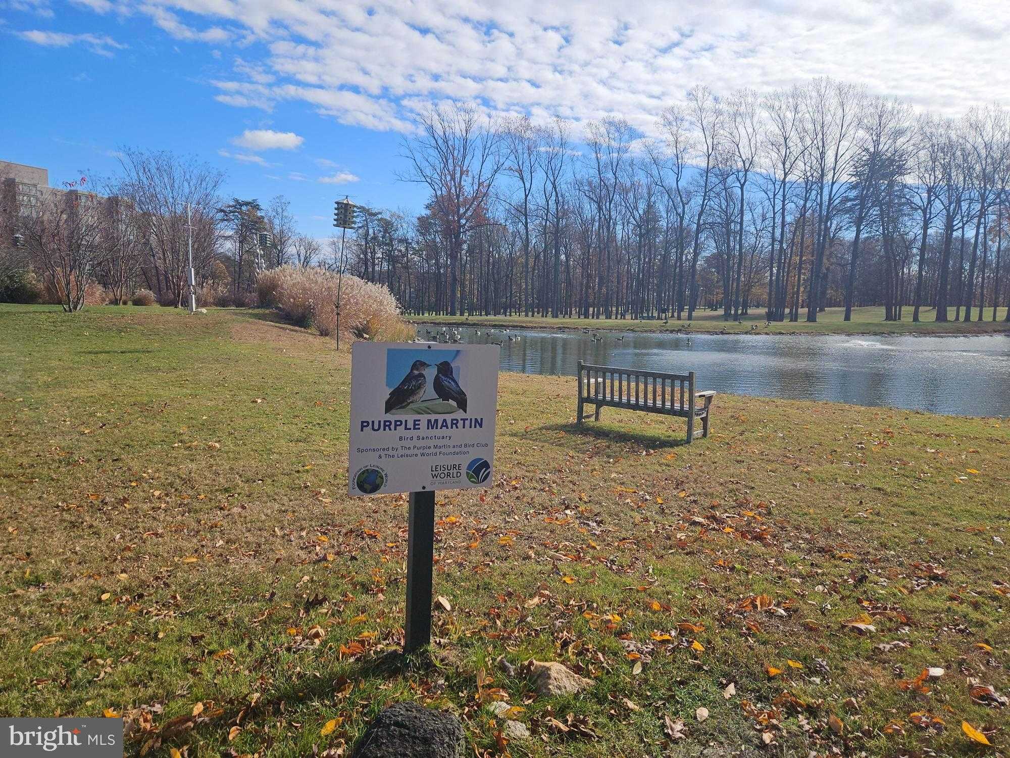 15107 Interlachen Dr # 2-815 photo 23