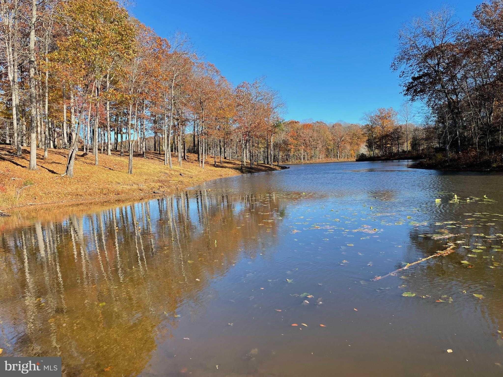 10405 Piney Branch Rd photo 13