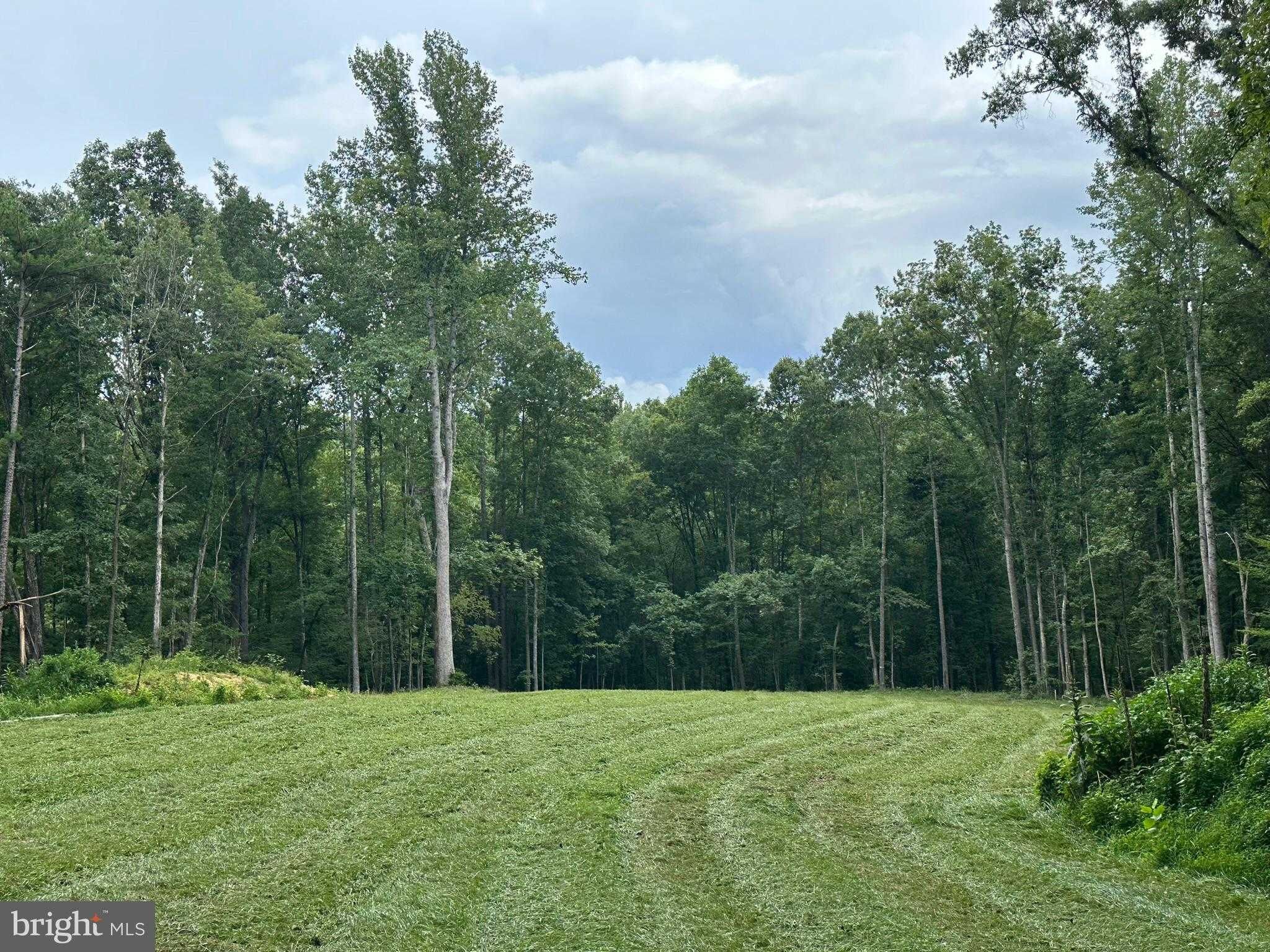 10405 Piney Branch Rd photo 4