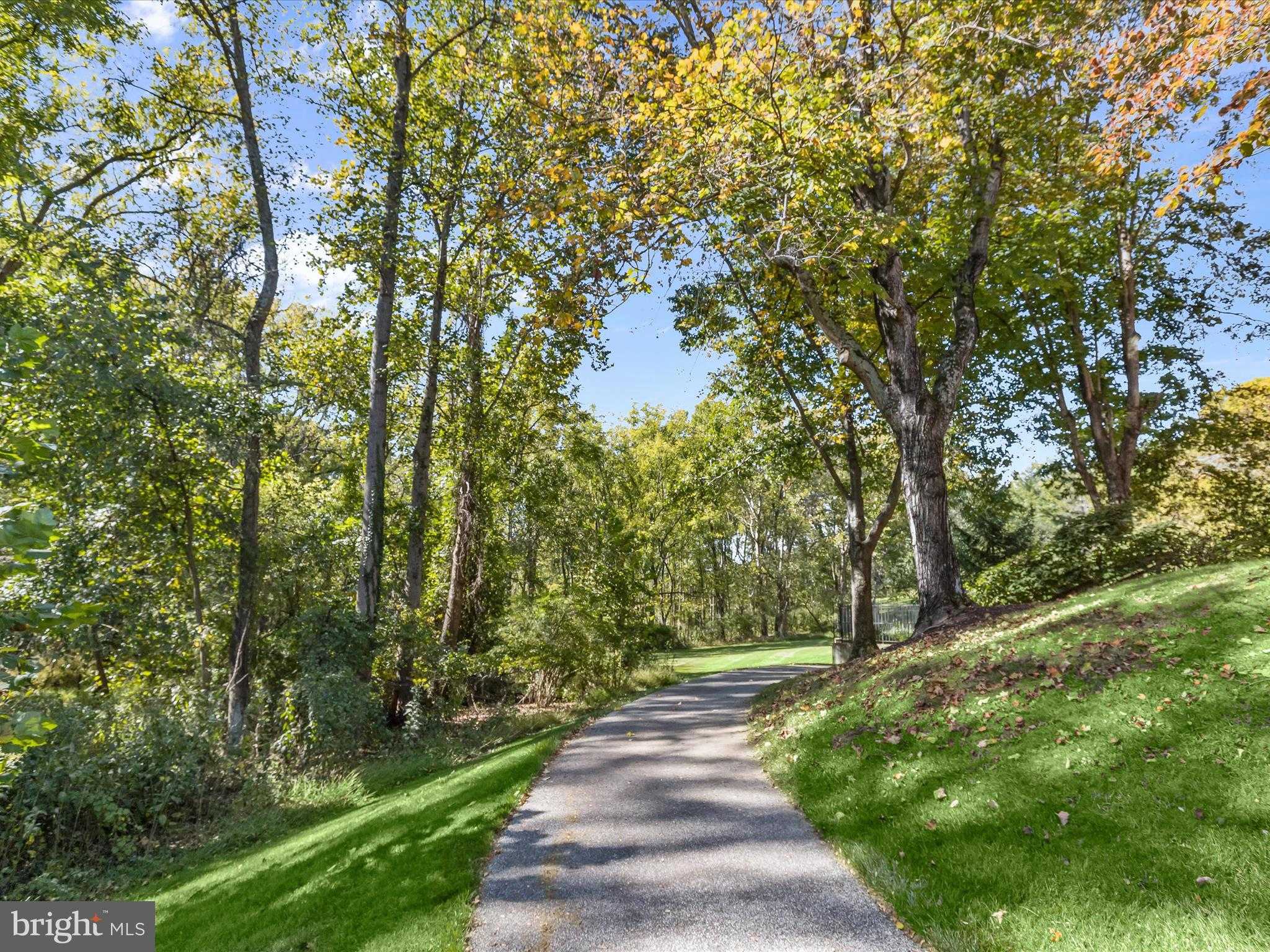 2331 Old Court Rd Unit 506 photo 46