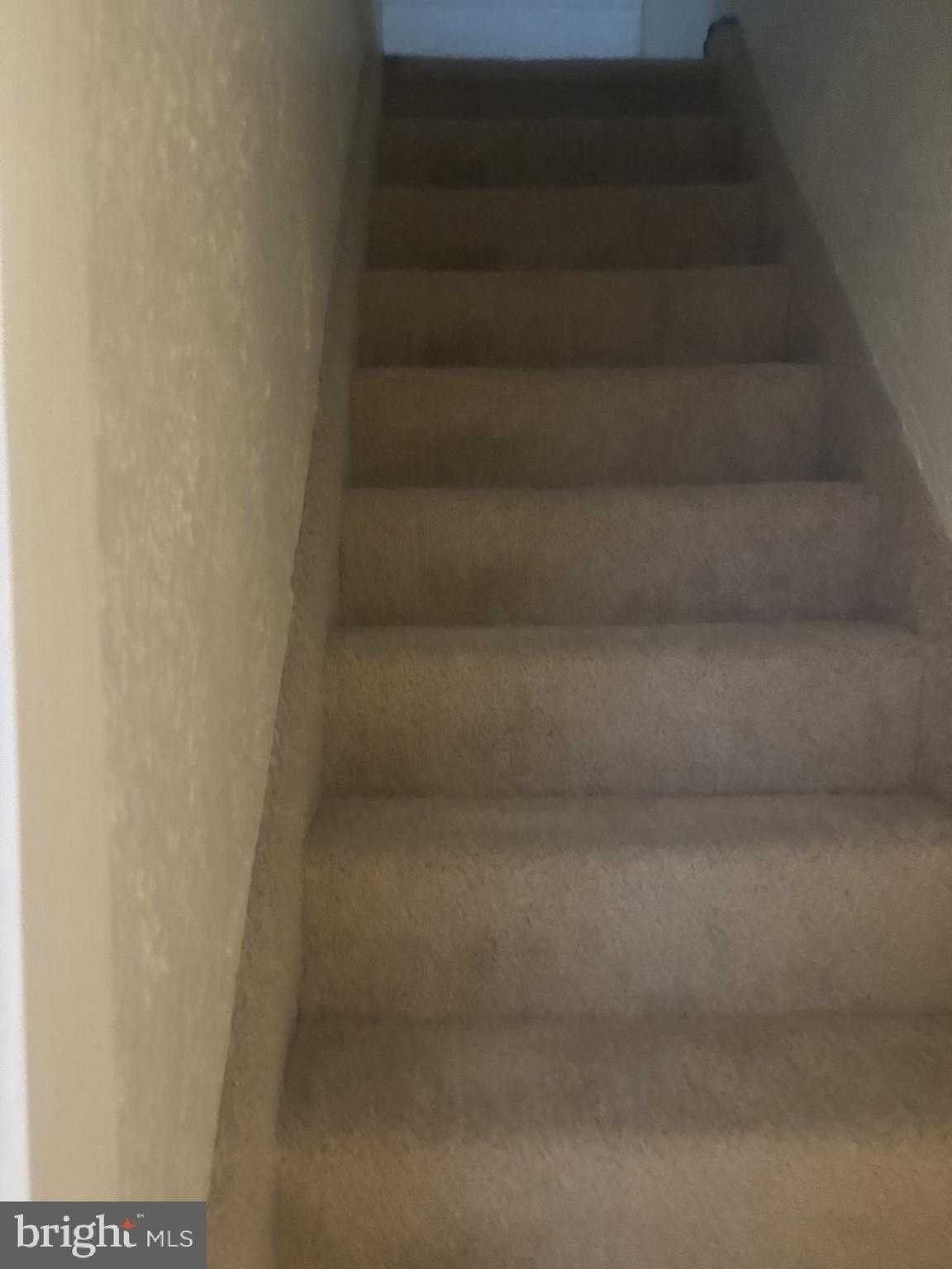 4907 Rawle St photo 24