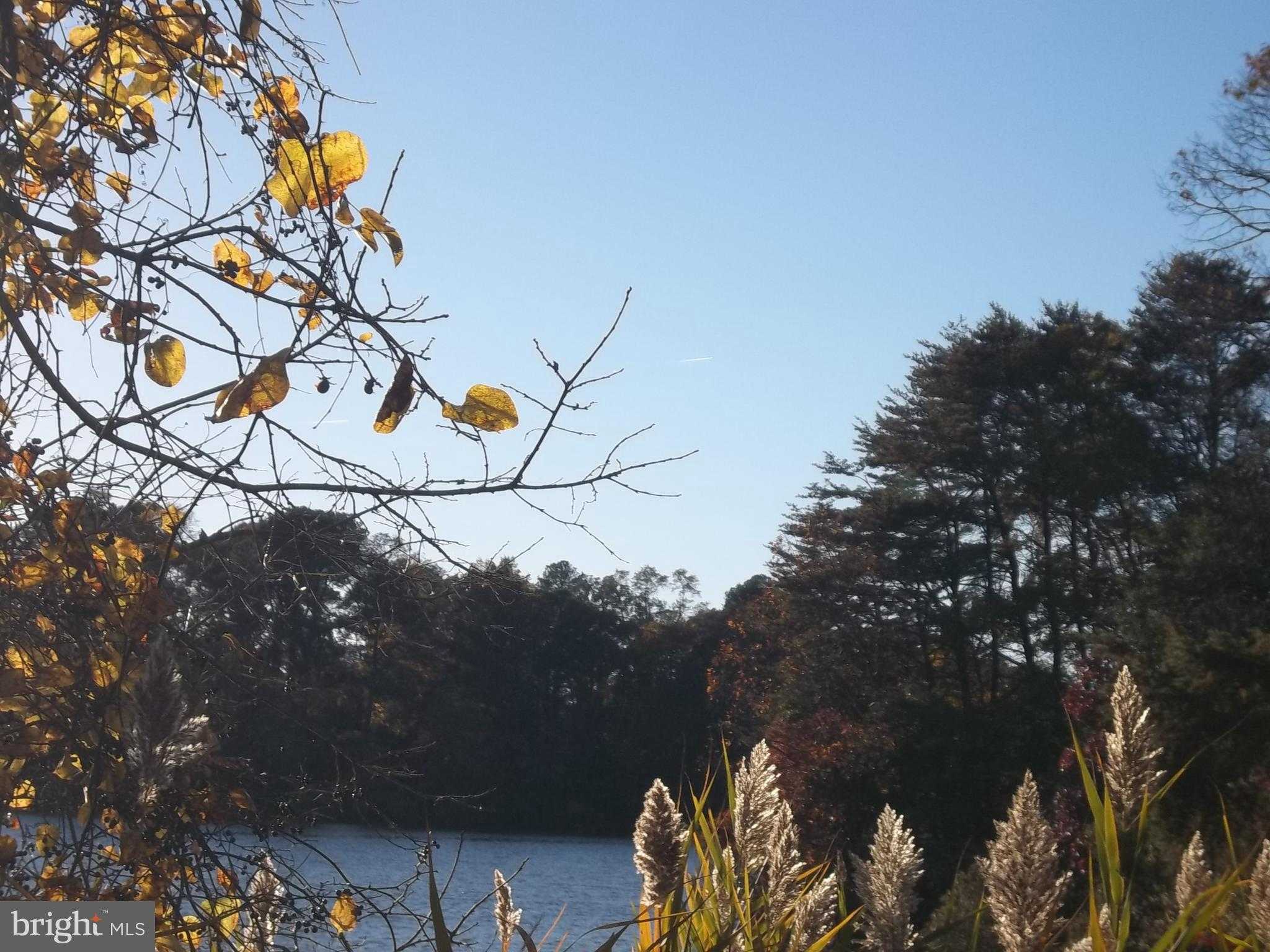 419 Seagull Ln photo 42