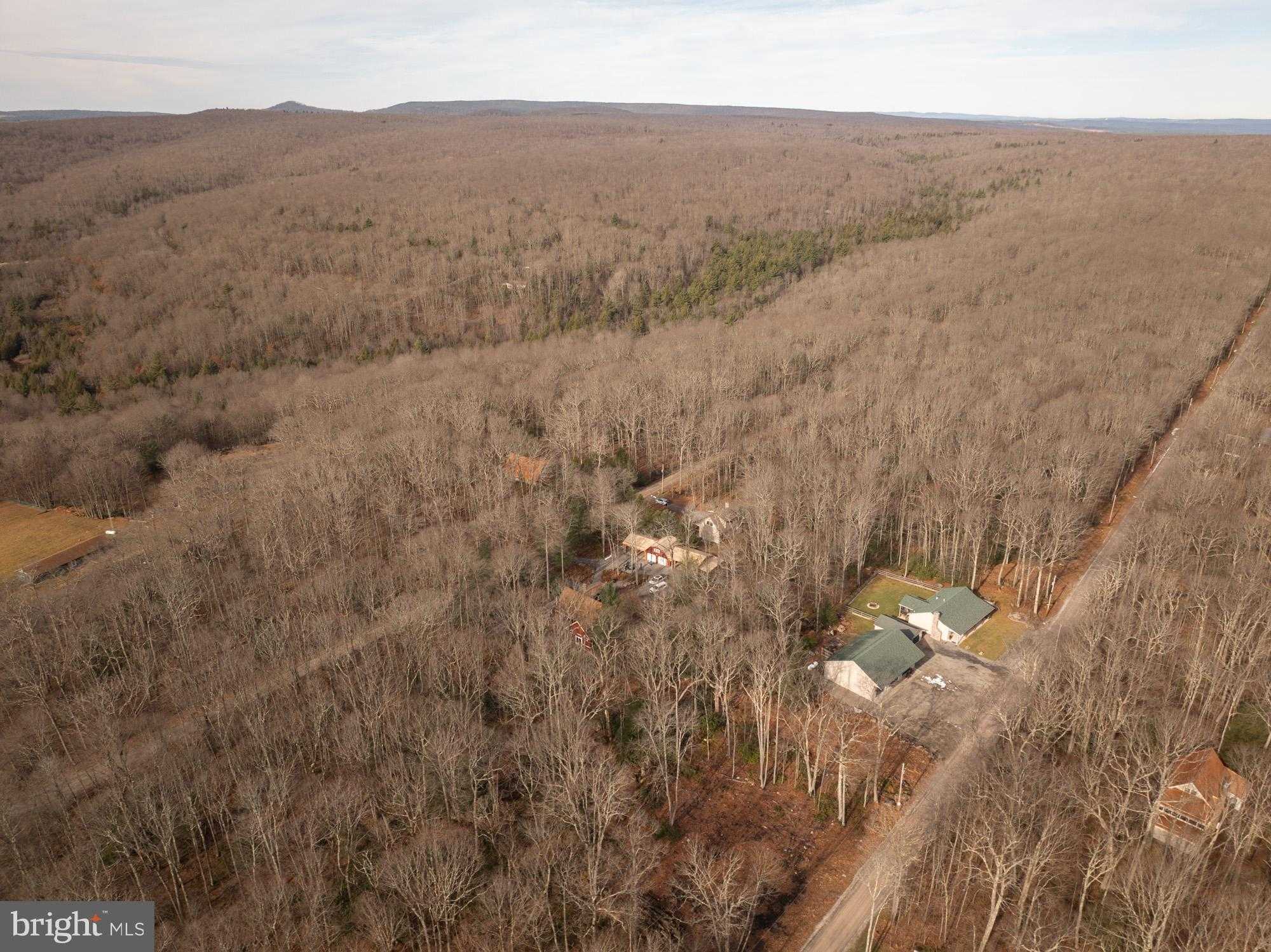 931 Black Oak Dr photo 36