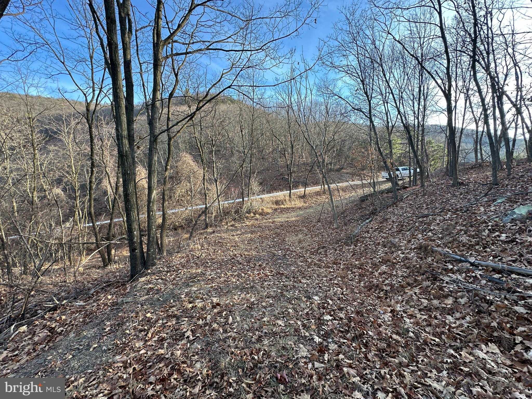 136 Ashton Woods Dr photo 22