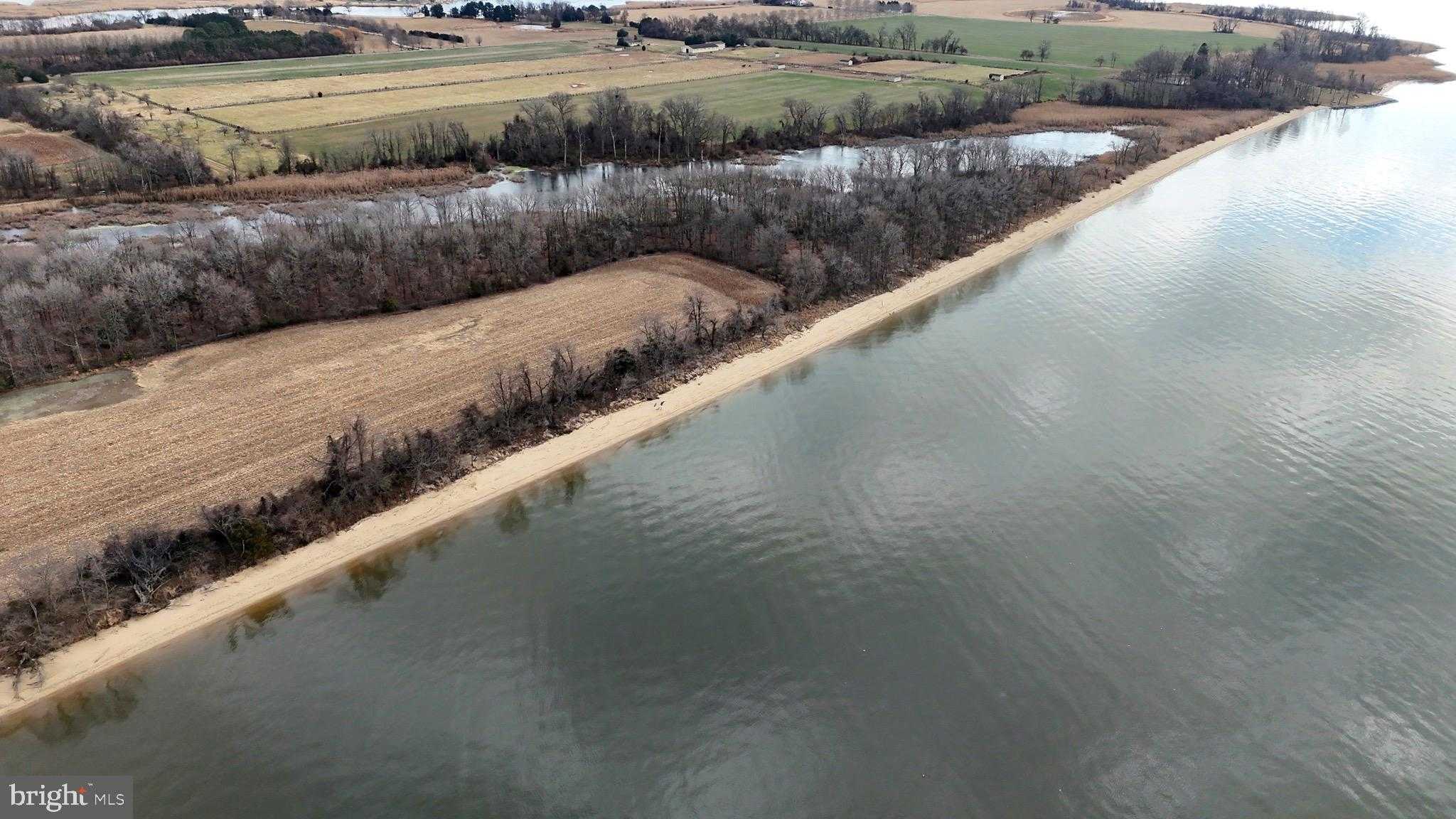 6520 Swan Creek Rd photo 17