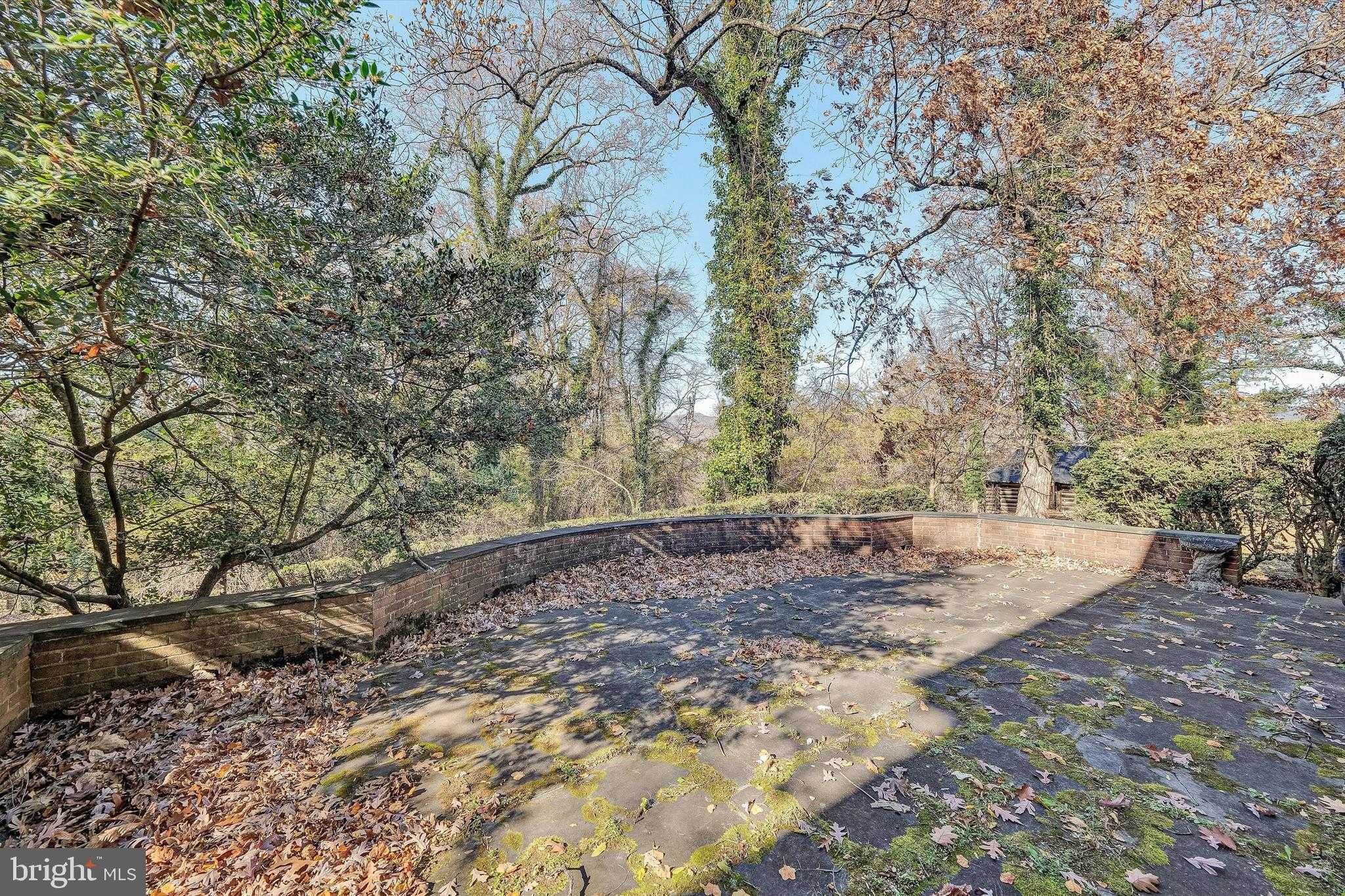 934 Commander Dr photo 88