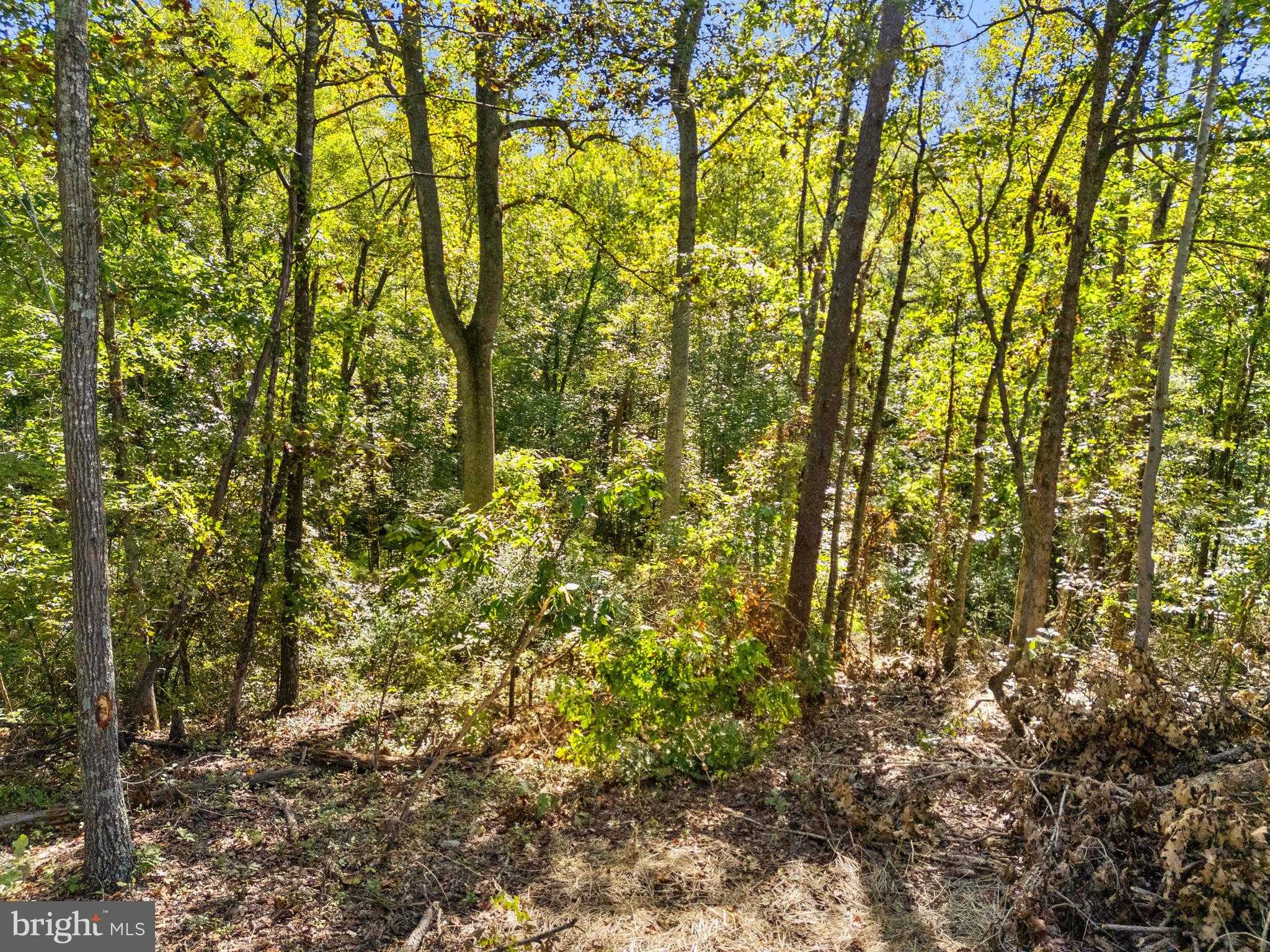 Cabin Branch Rd photo 8