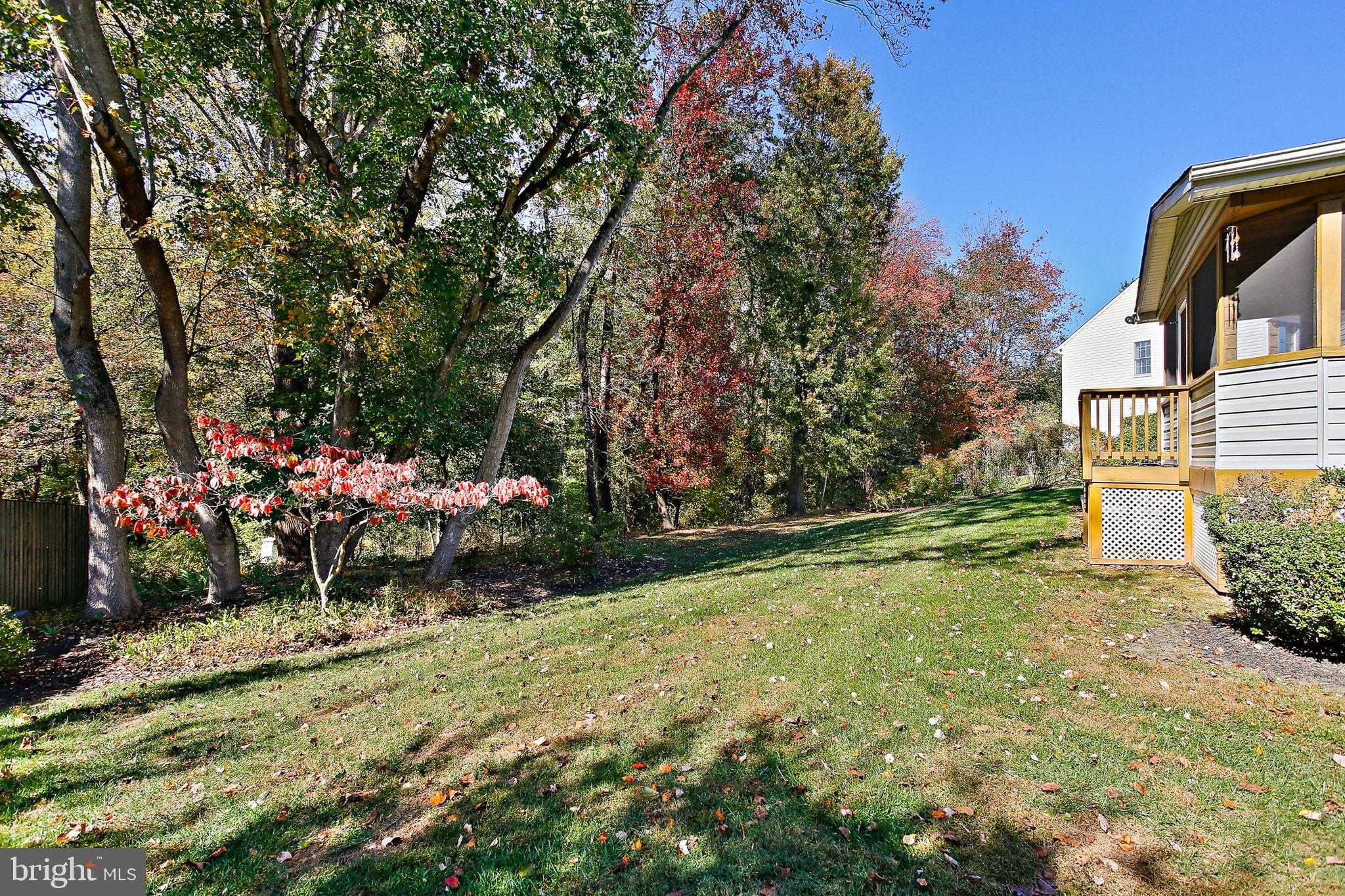 8307 Spring Blossom CT photo 65