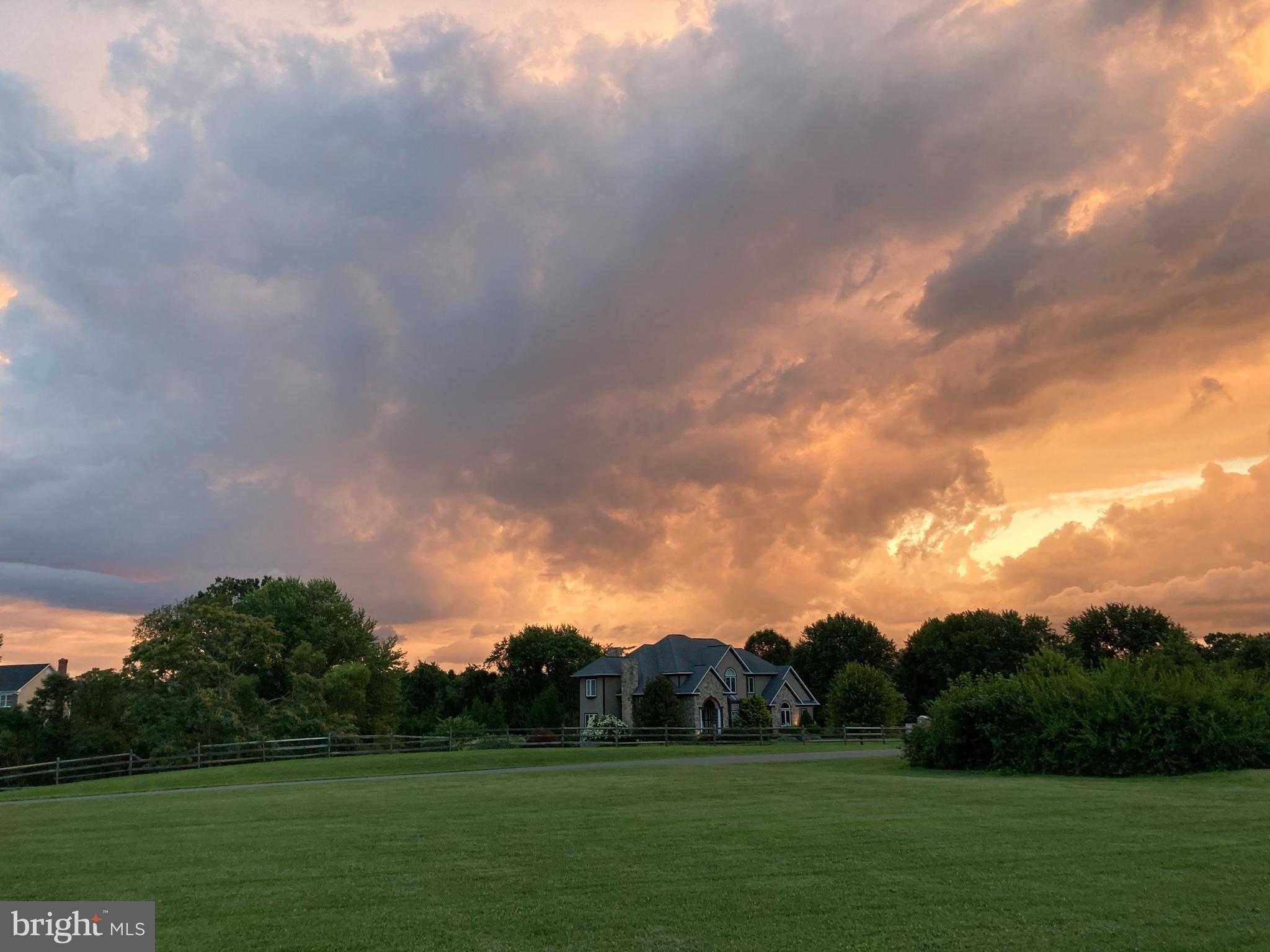 16503 Loneoak Pl photo 3