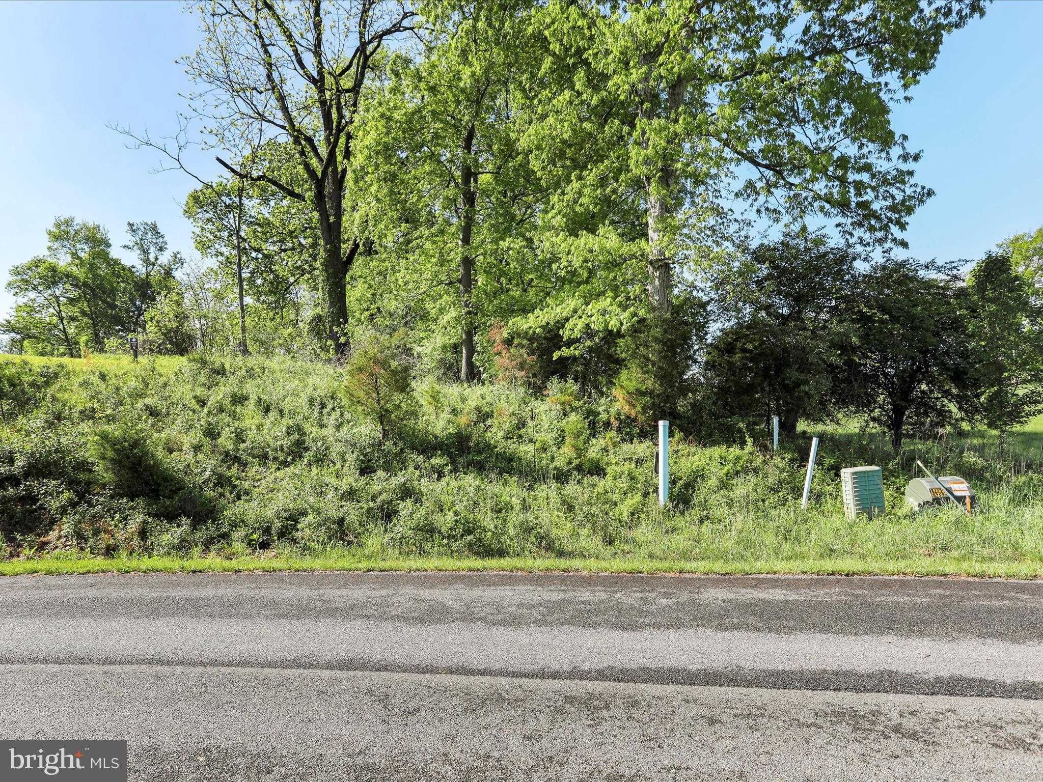 9 Briar Mountain Dr photo 8