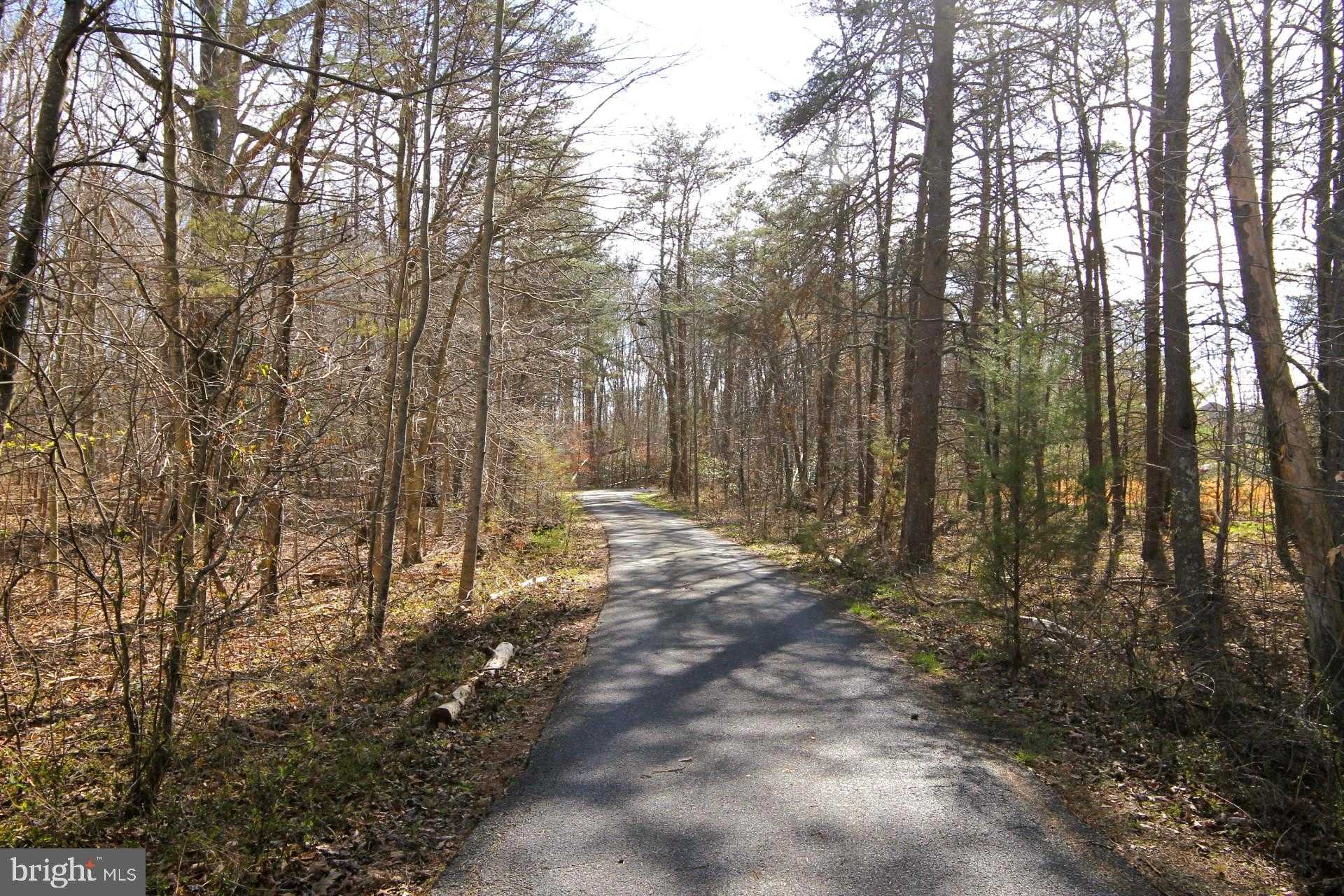 4695 Sands Rd photo 2