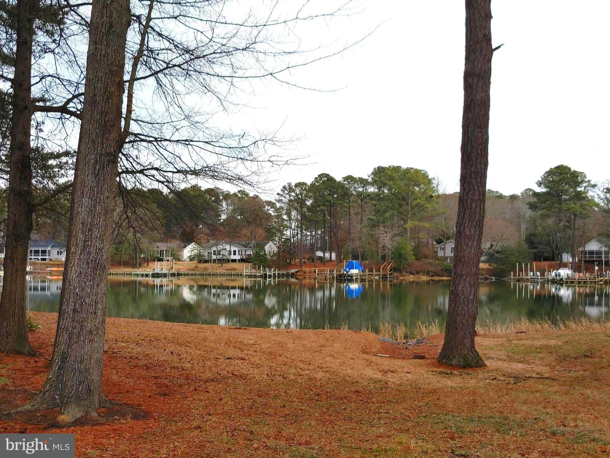 125 Kings Orchard Ln photo 60