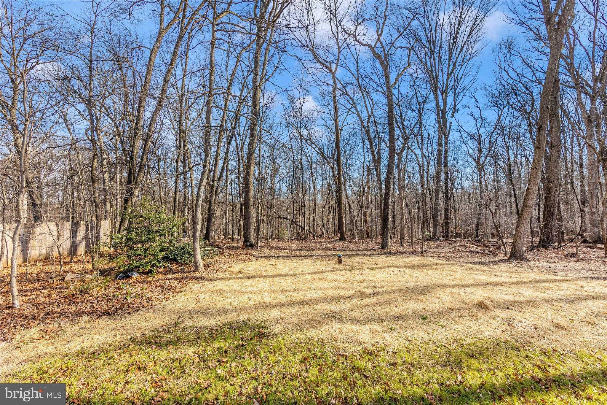 5635 Catoctin Ridge Dr photo 55