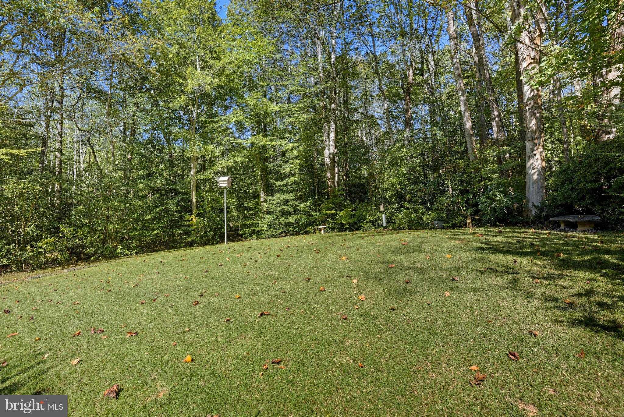 13436 Celtic Ln photo 54