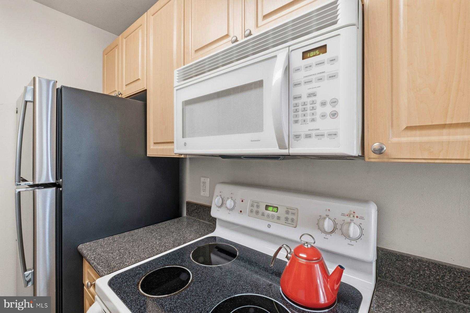 1005 Chillum Rd Apt 305 photo 19