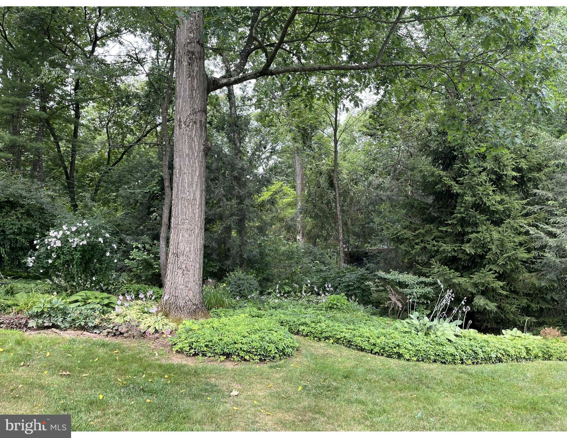 204 Brandywine Dr photo 57