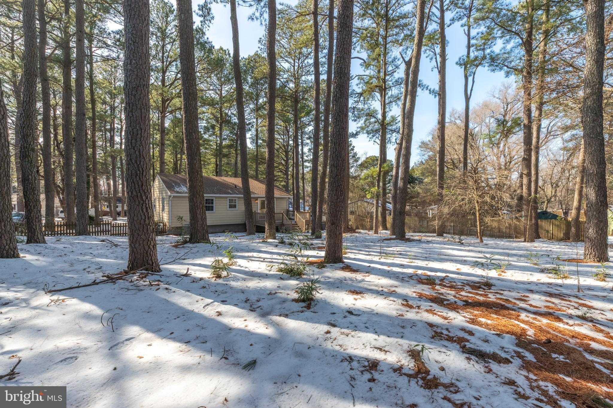 705 Buckingham Cir photo 38