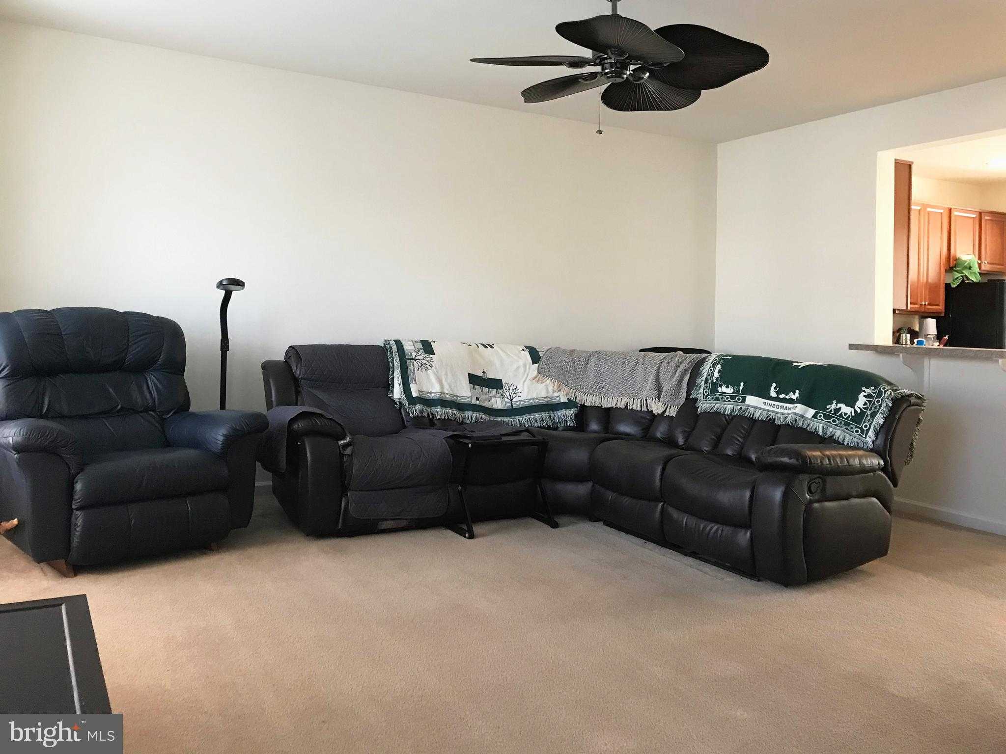 97 Don Quixote Dr photo 11