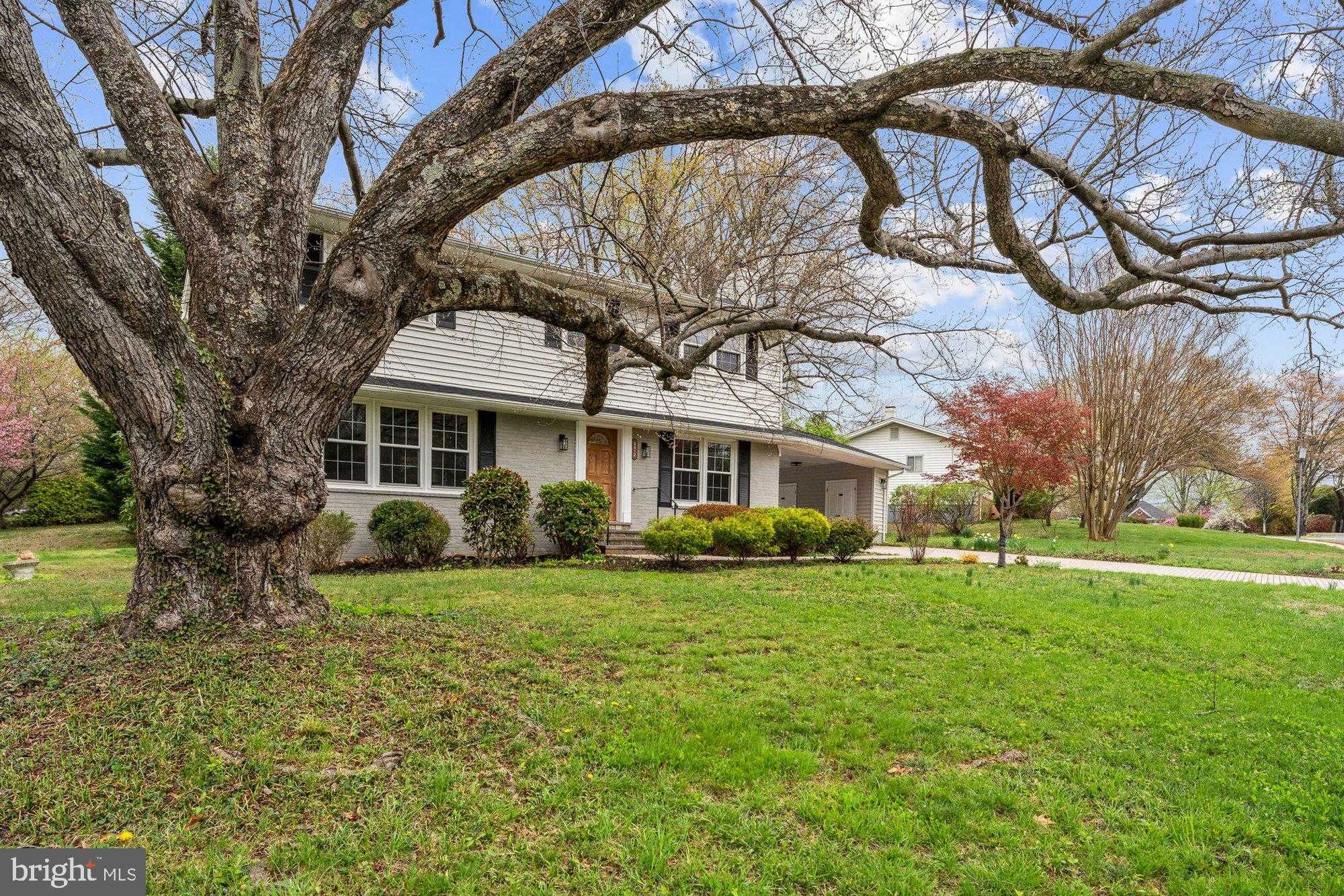 8612 Cottage St photo 49