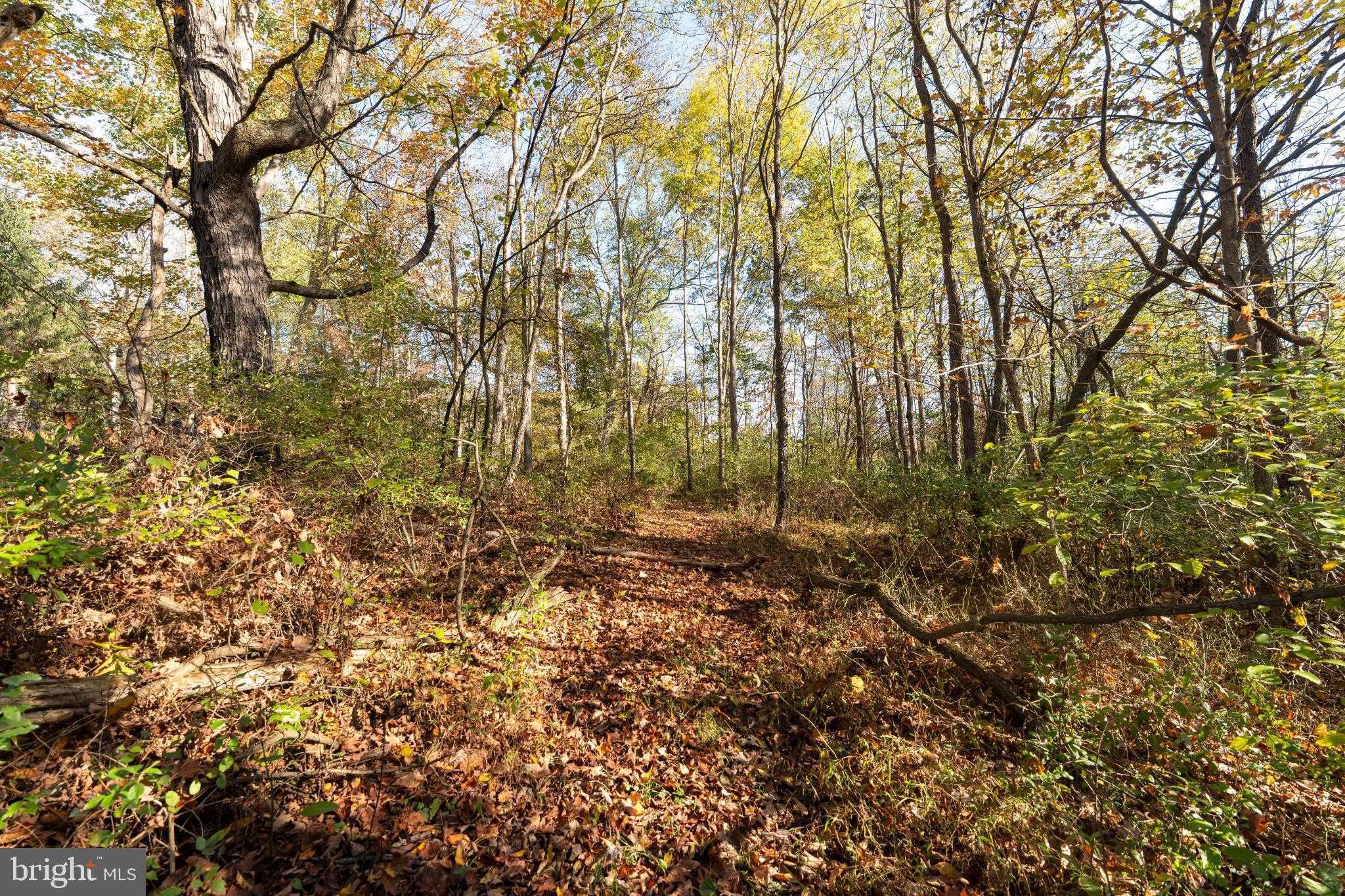 21103 Marlin Cir photo 39