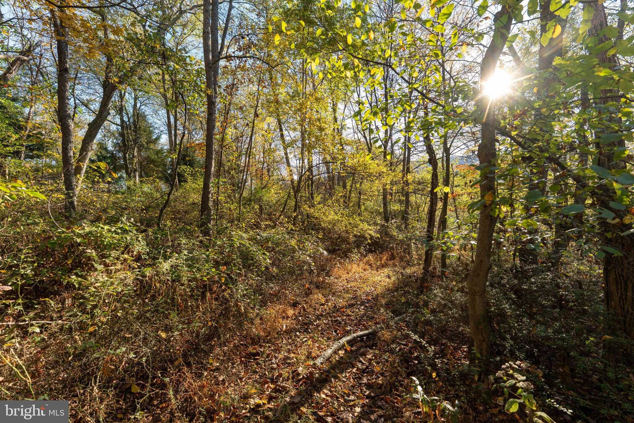 21103 Marlin Cir photo 41