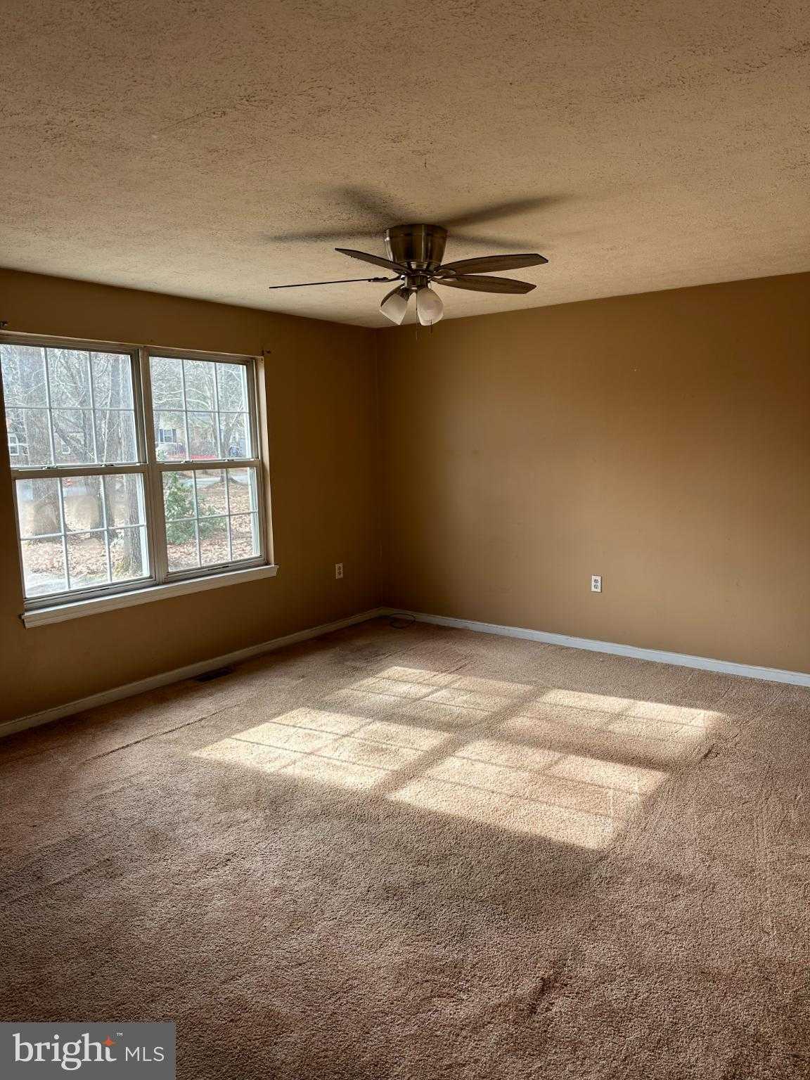 39494 Jarrell Dr photo 11