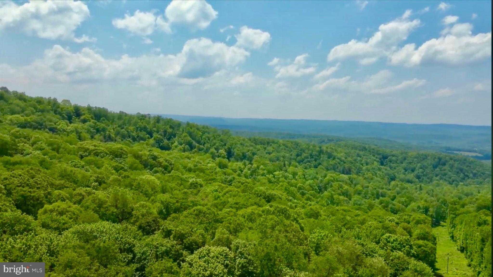 4967 Rich Mountain Rd photo 11