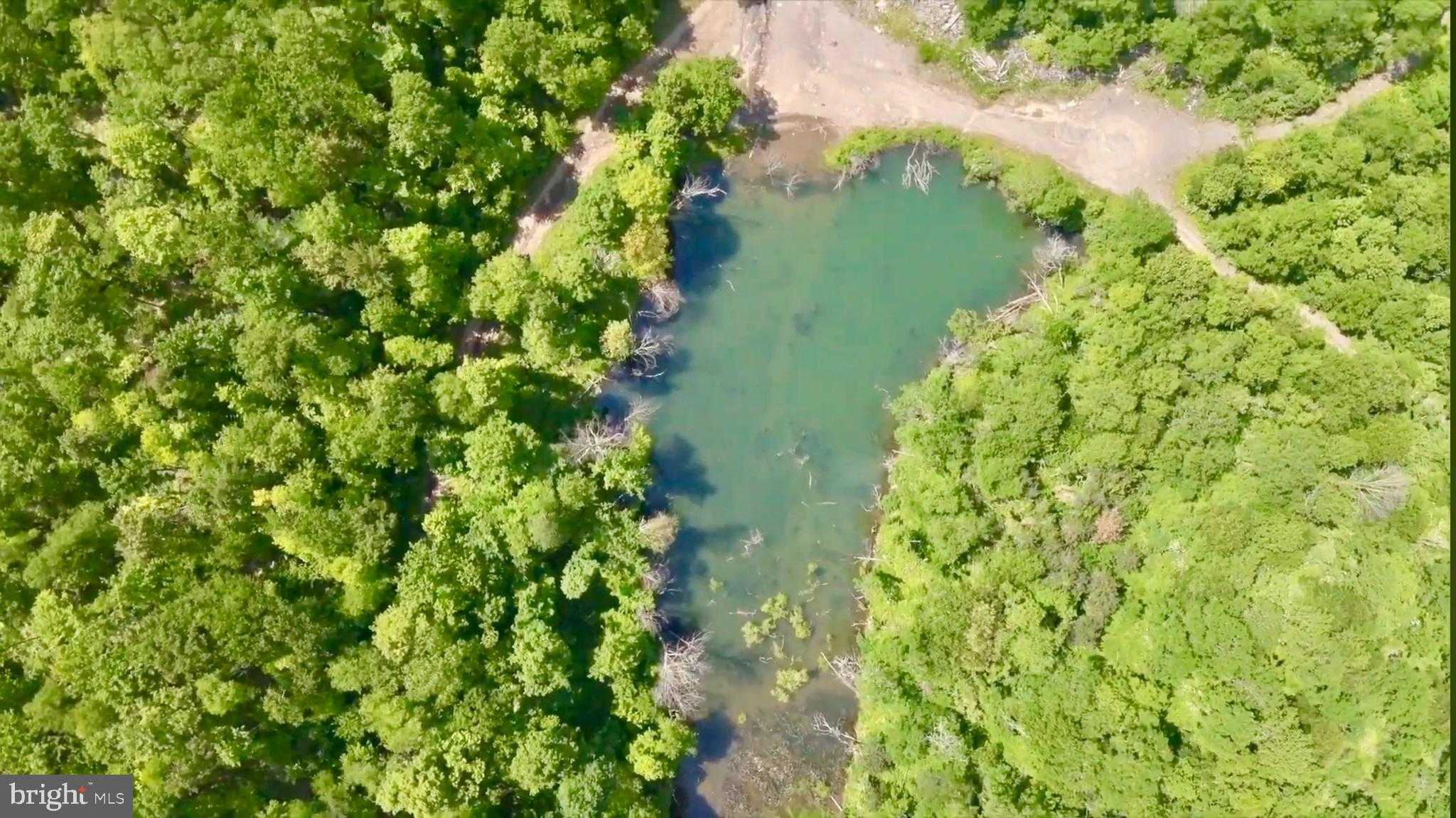 4967 Rich Mountain Rd photo 13