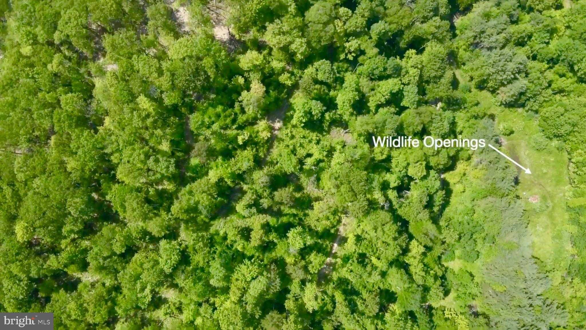 4967 Rich Mountain Rd photo 14