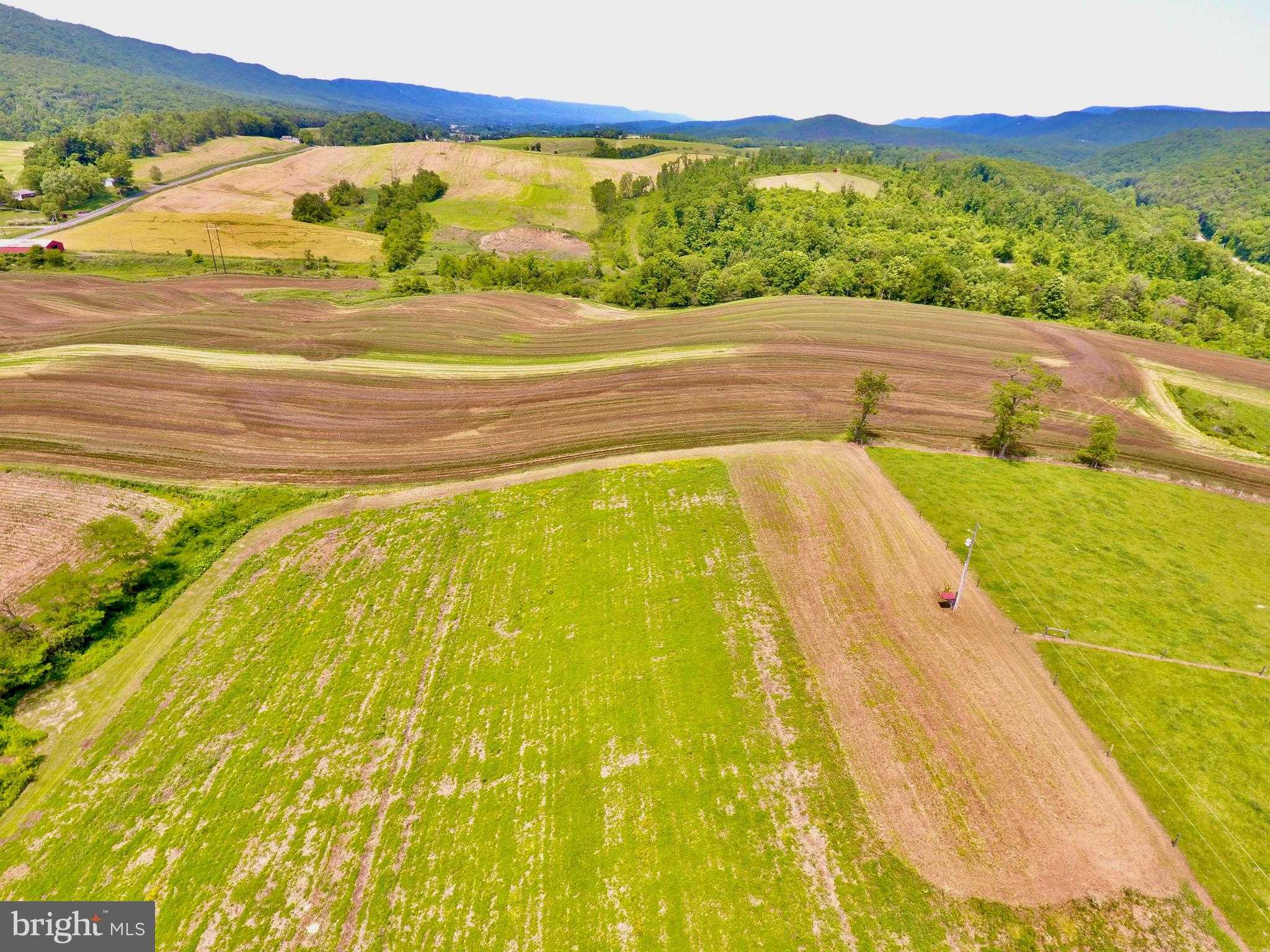 200 Carberry Rd photo 4