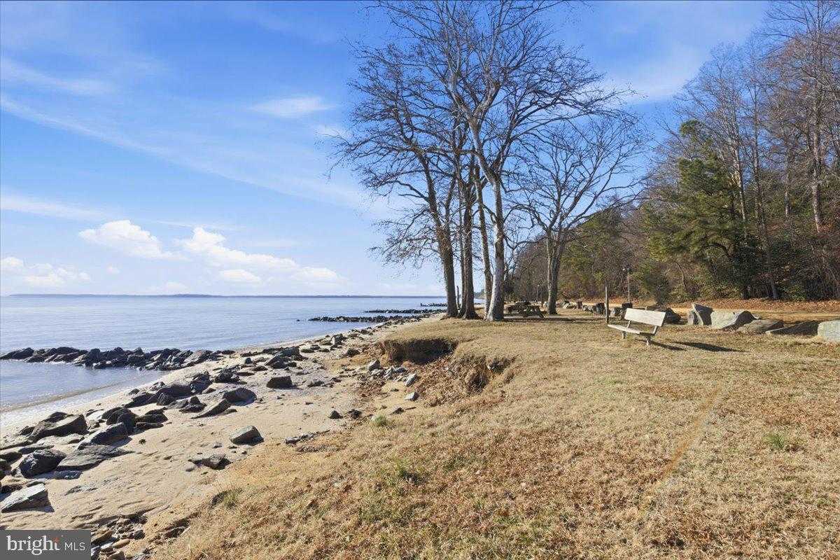 11705 Big Bear Ln photo 29