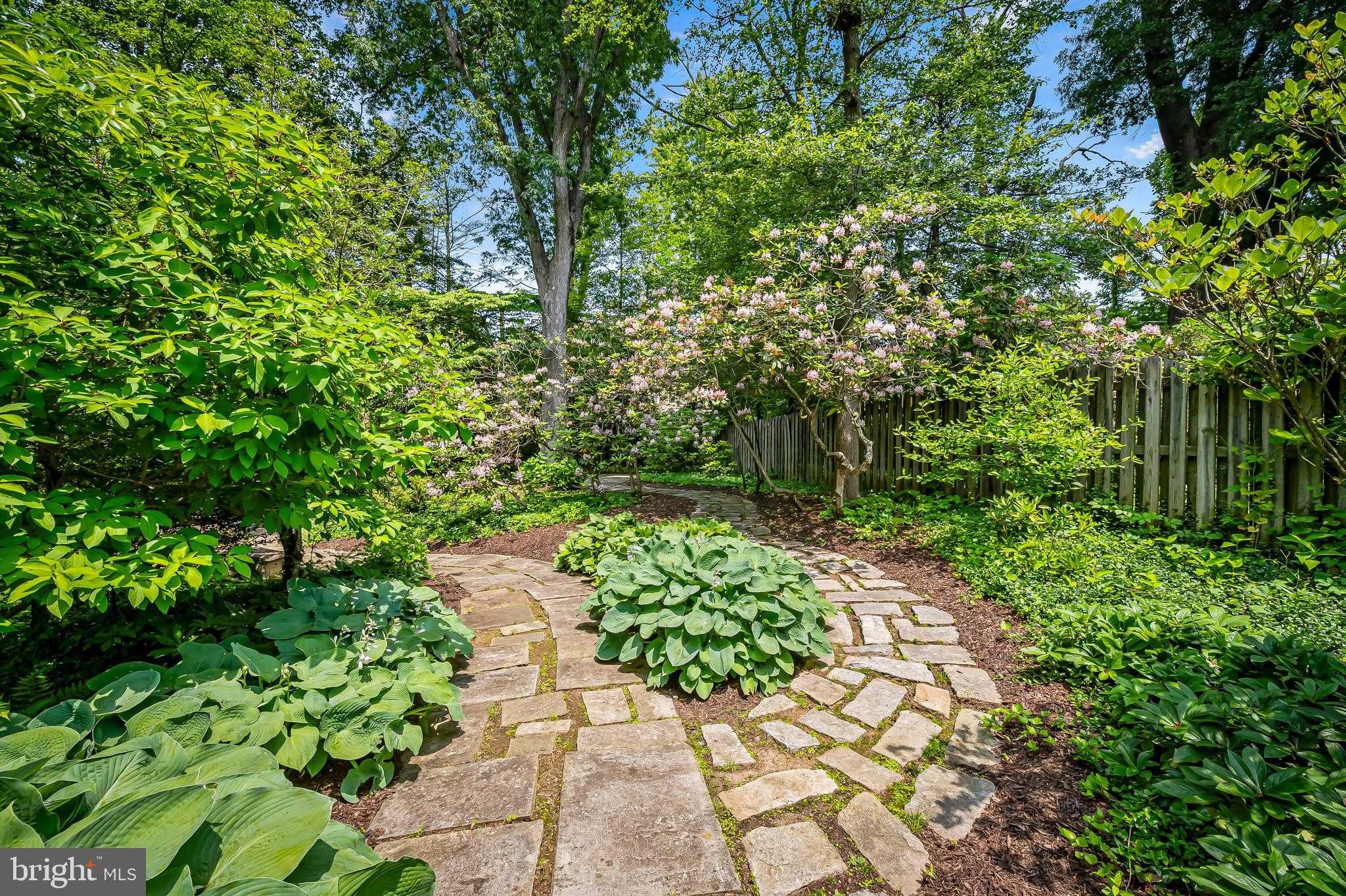 6 Meadow Rd photo 29