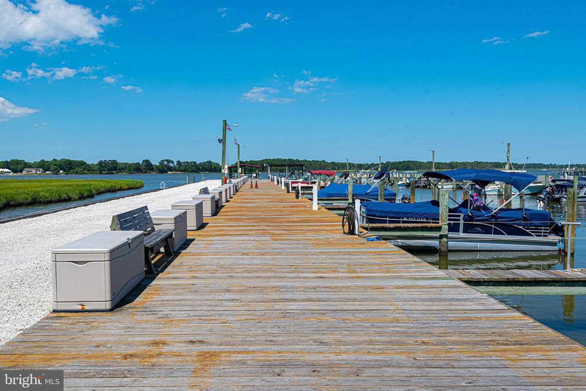 14 DEEP SEA photo 46