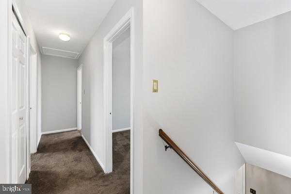 10308 Musket CT photo 40