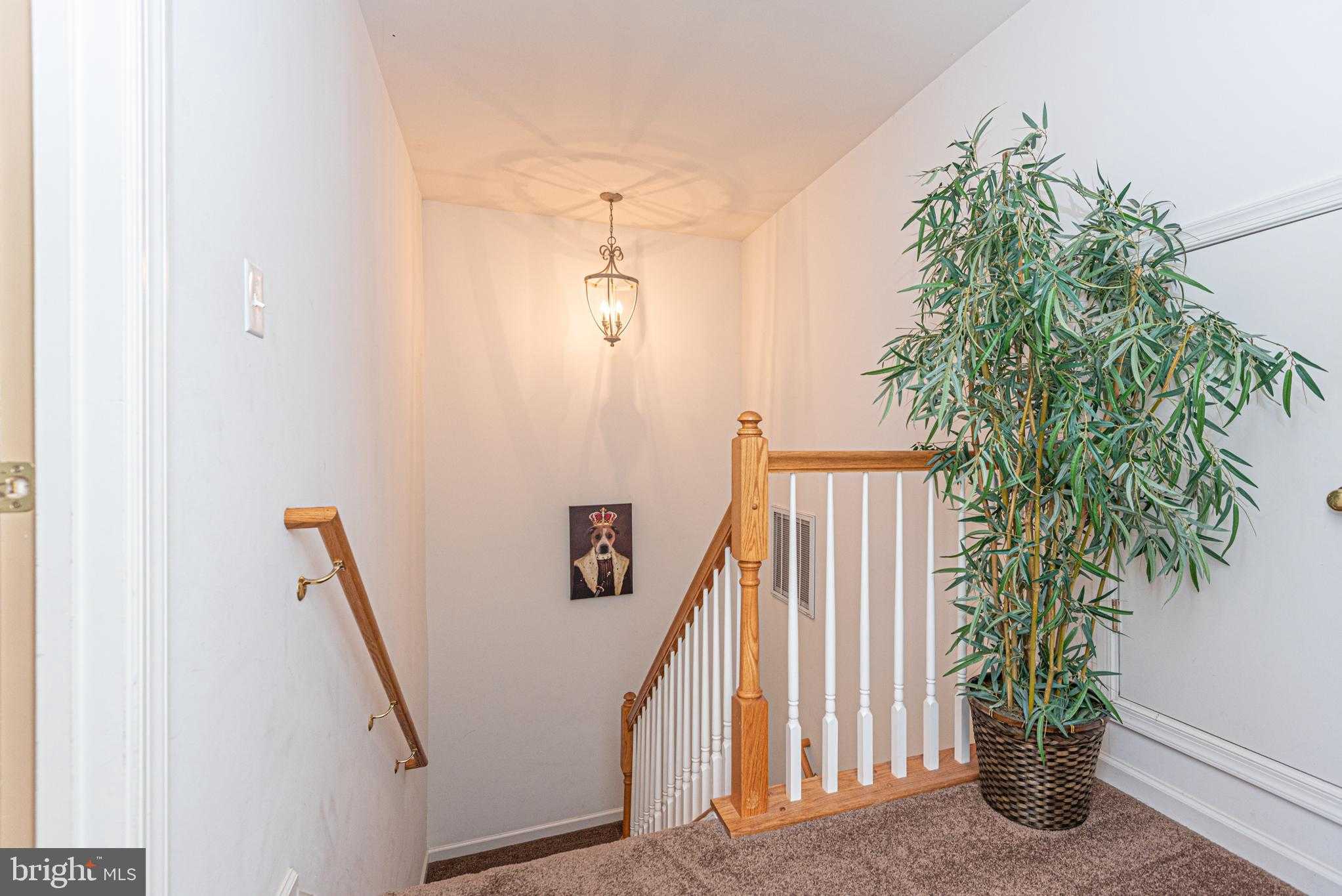 18 Canal Side Mews W # Lut-Bi photo 53