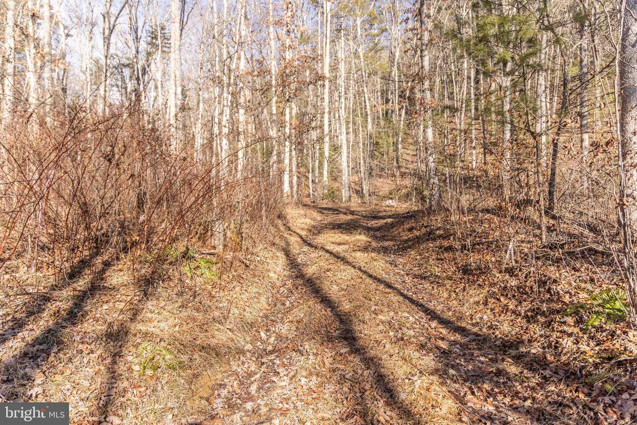 Pocahontas Trl photo 2