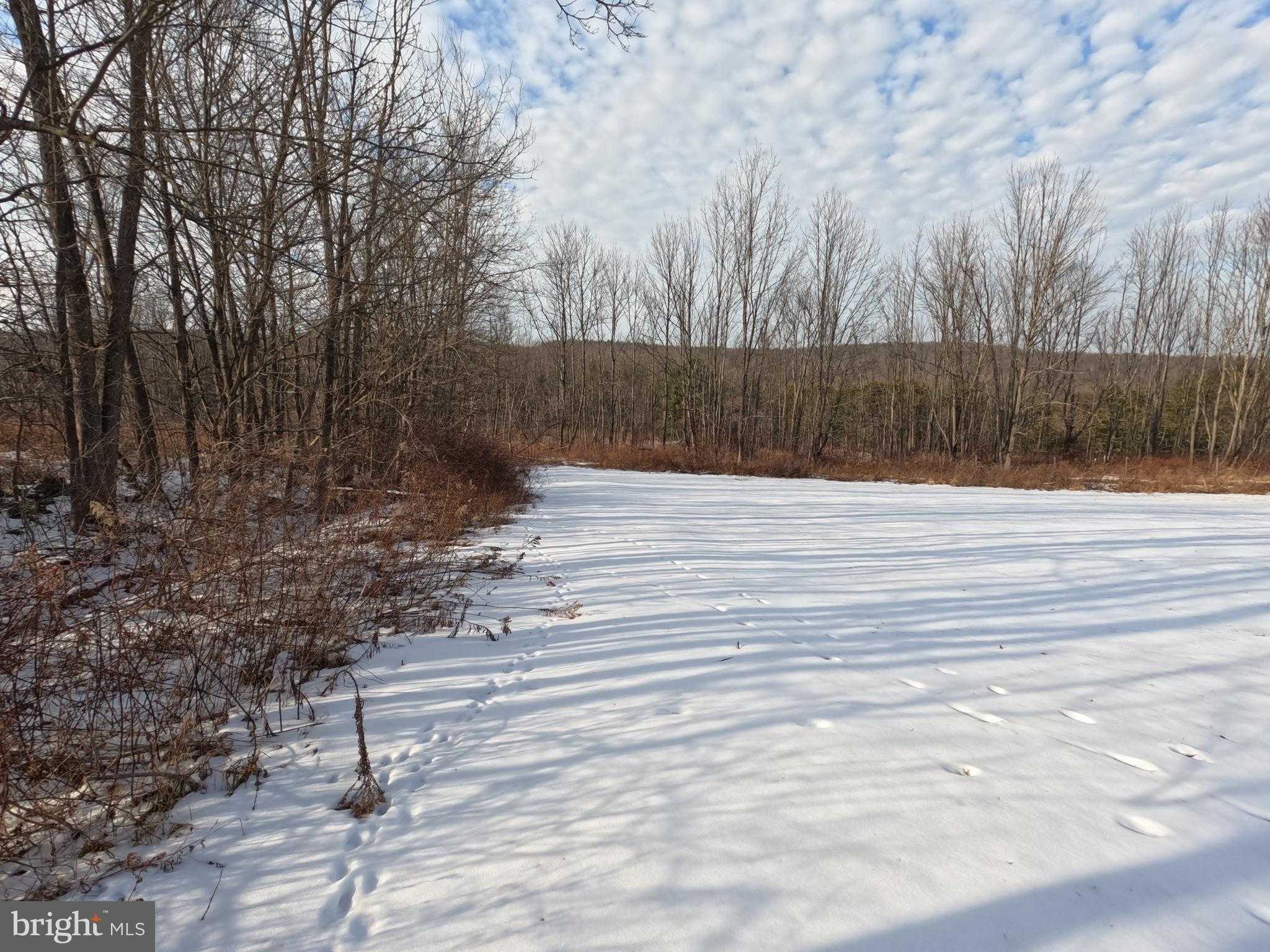 Sterling Rd photo 14