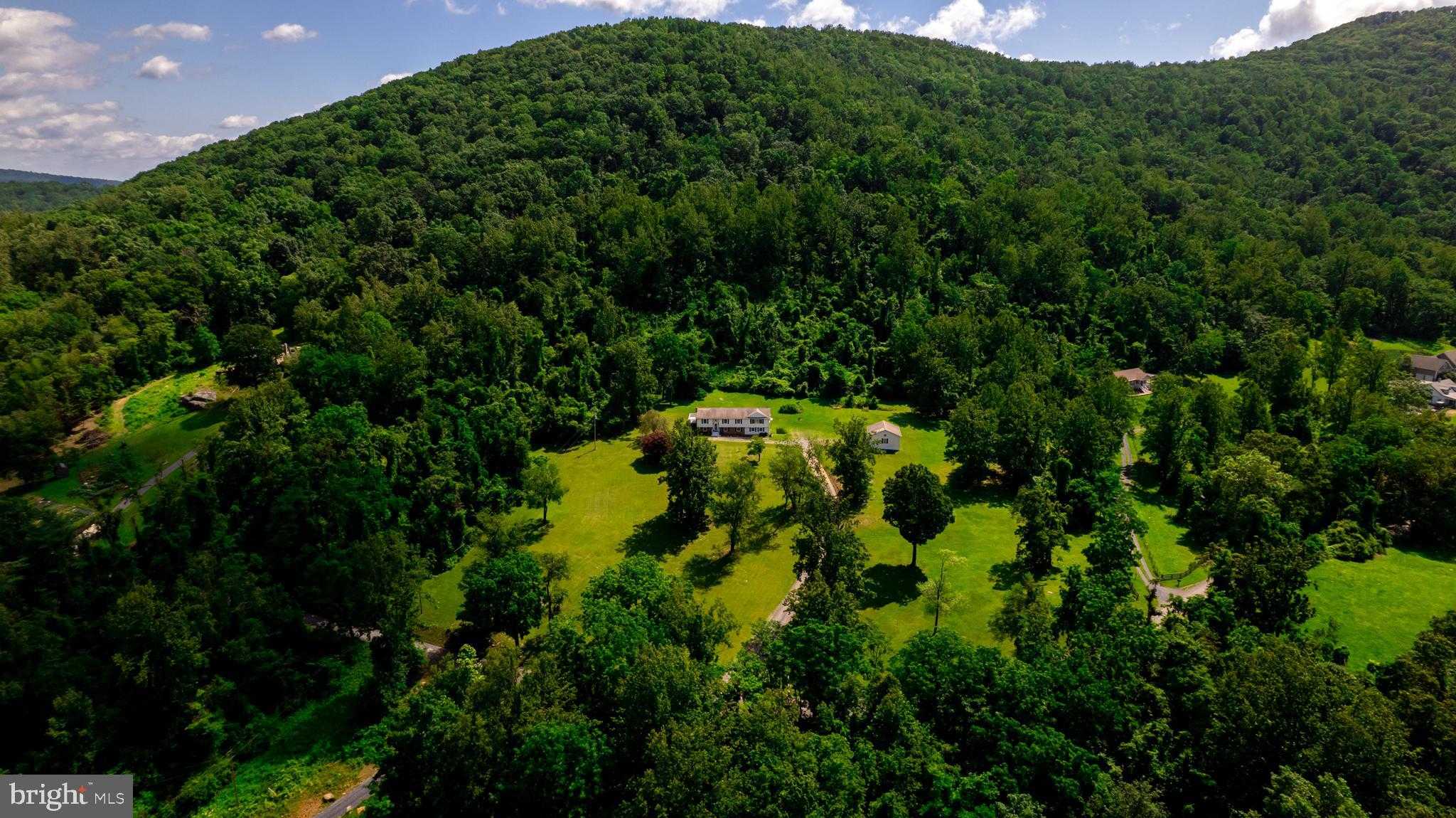 4179 Fiery Run Rd photo 59