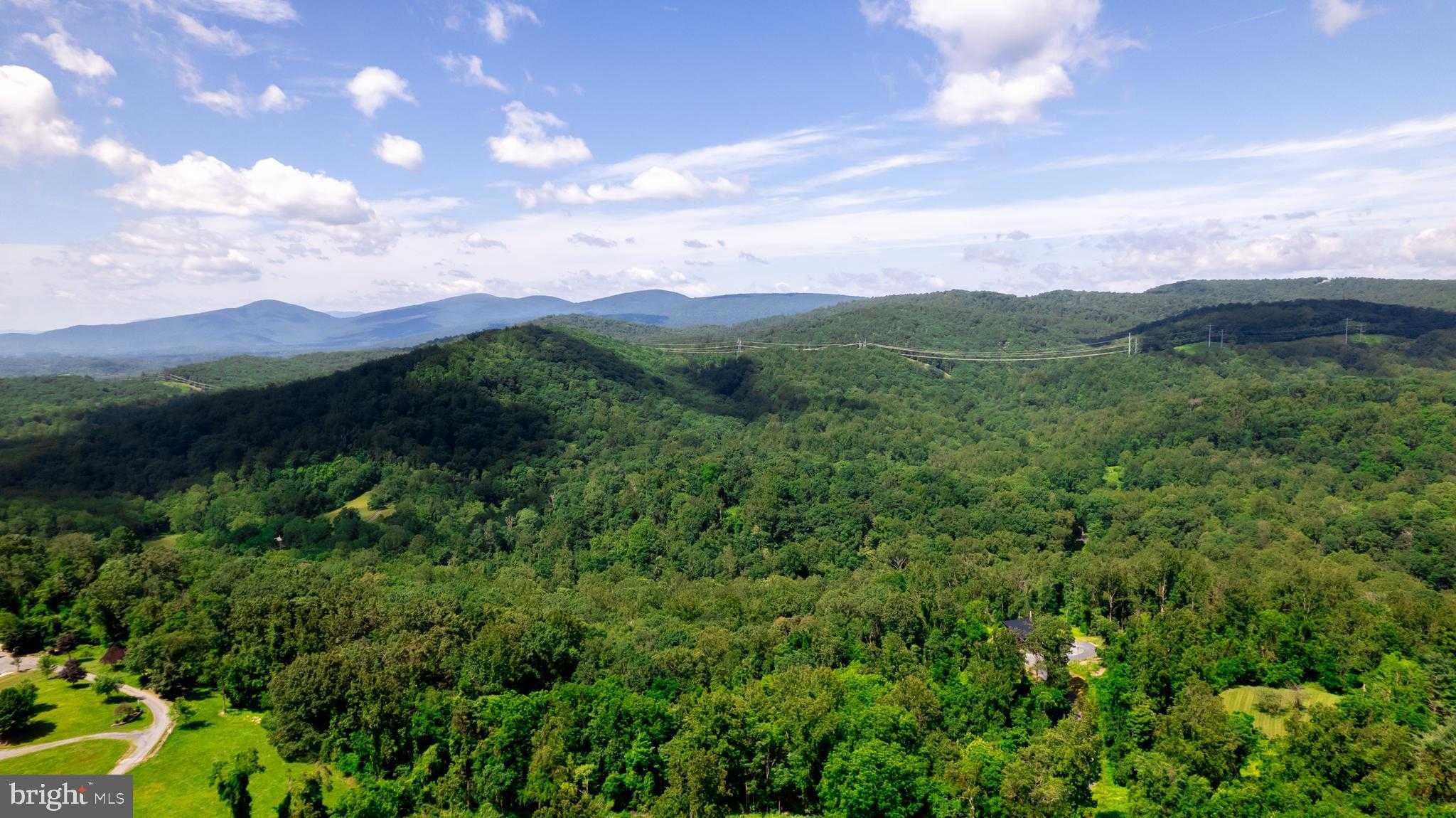 4179 Fiery Run Rd photo 63