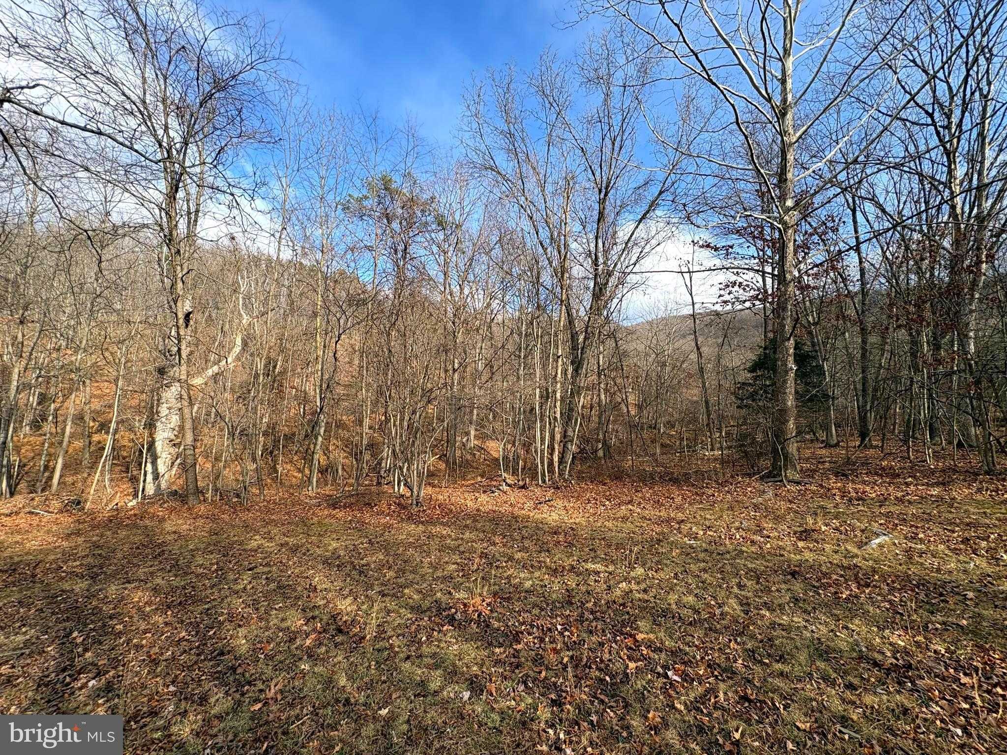 16 Rolling Acres Dr photo 5