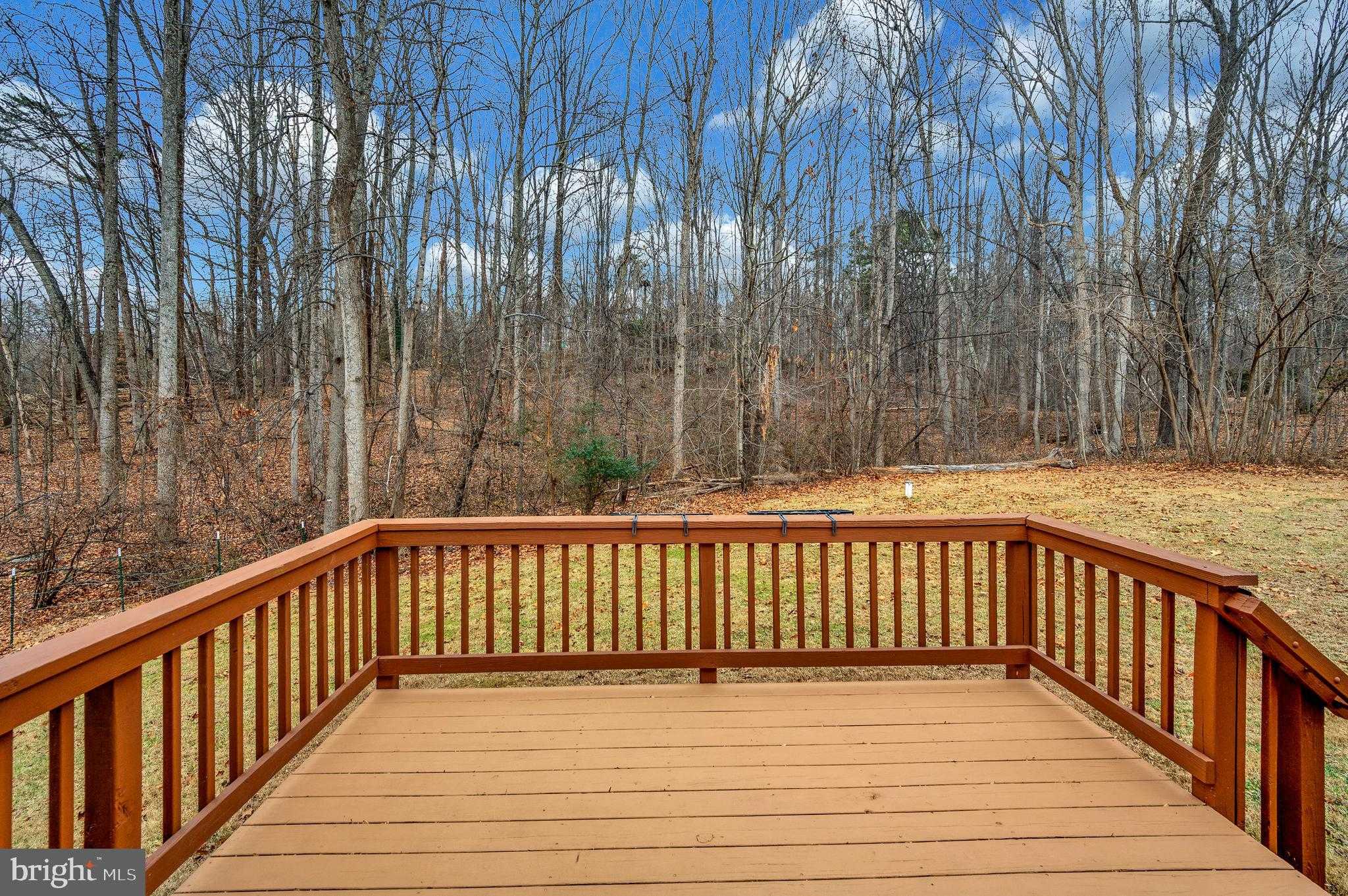 16008 Bruces Ln photo 46