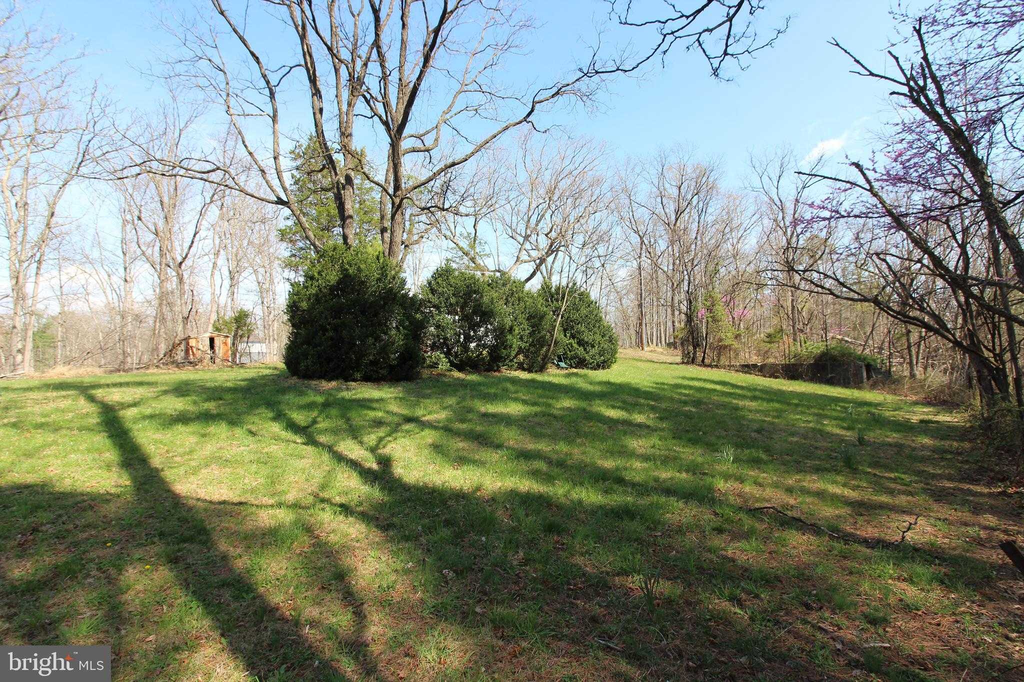 362 Riverview Dr photo 6