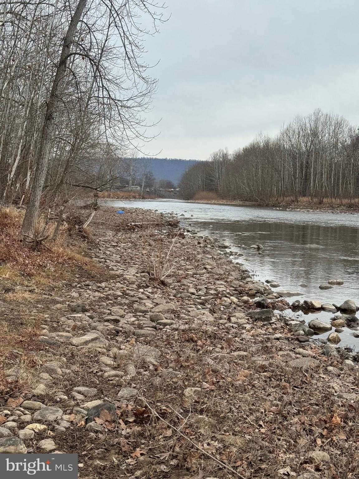 261 Hicks Dr photo 59