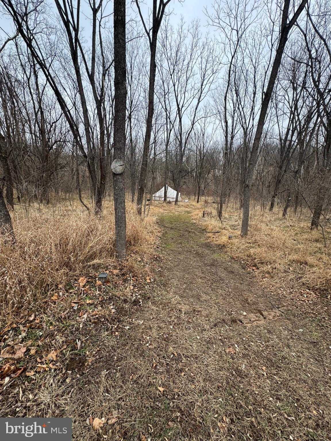 261 Hicks Dr photo 79