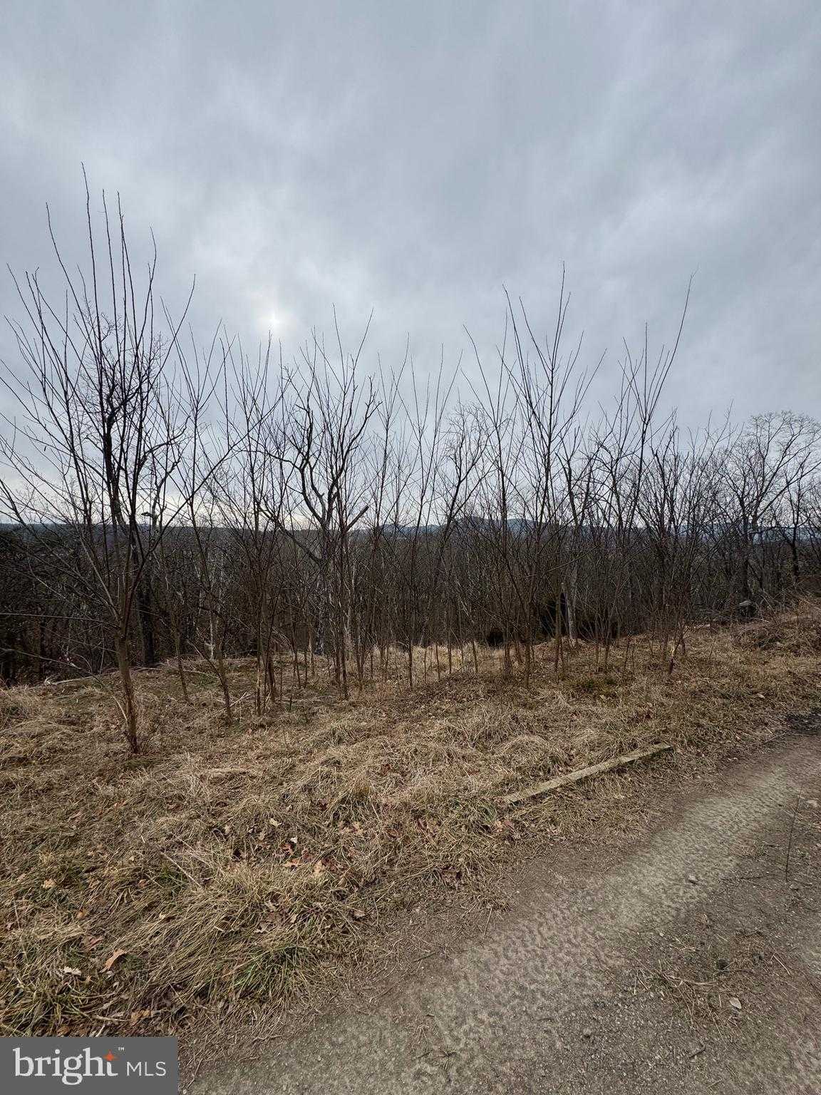 261 Hicks Dr photo 90